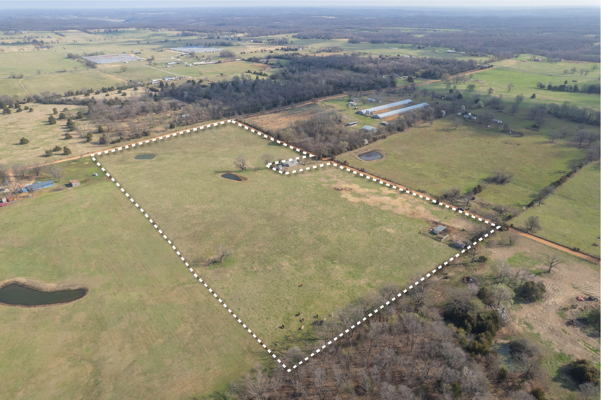 Photo 19 - Land for sale – 19+/-  Acres Holly Road  Southwest City, MO
