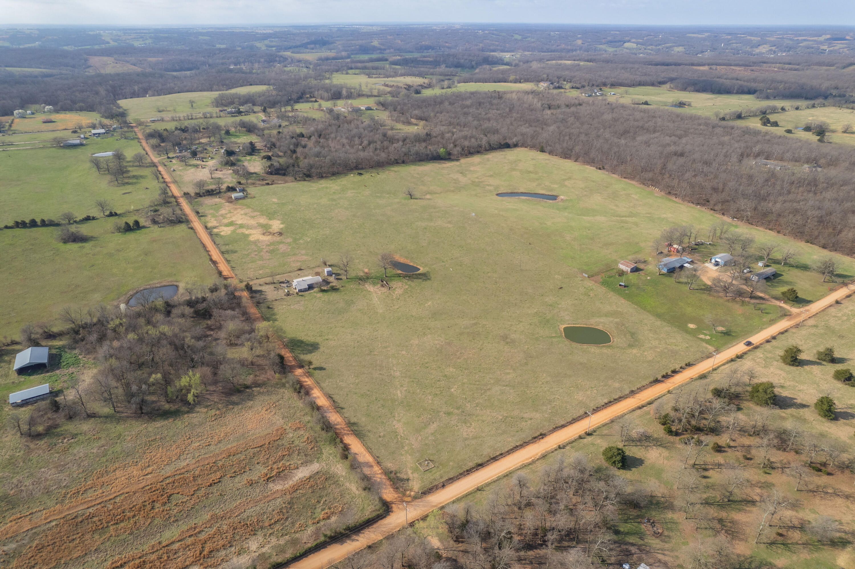 Photo 6 - Land for sale – 19+/-  Acres Holly Road  Southwest City, MO