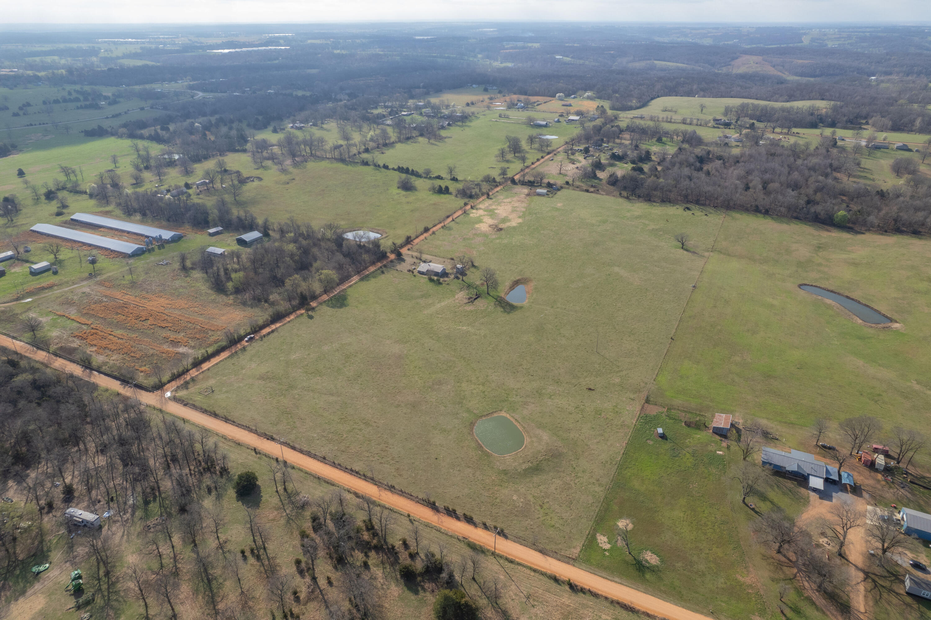 Photo 5 - Land for sale – 19+/-  Acres Holly Road  Southwest City, MO
