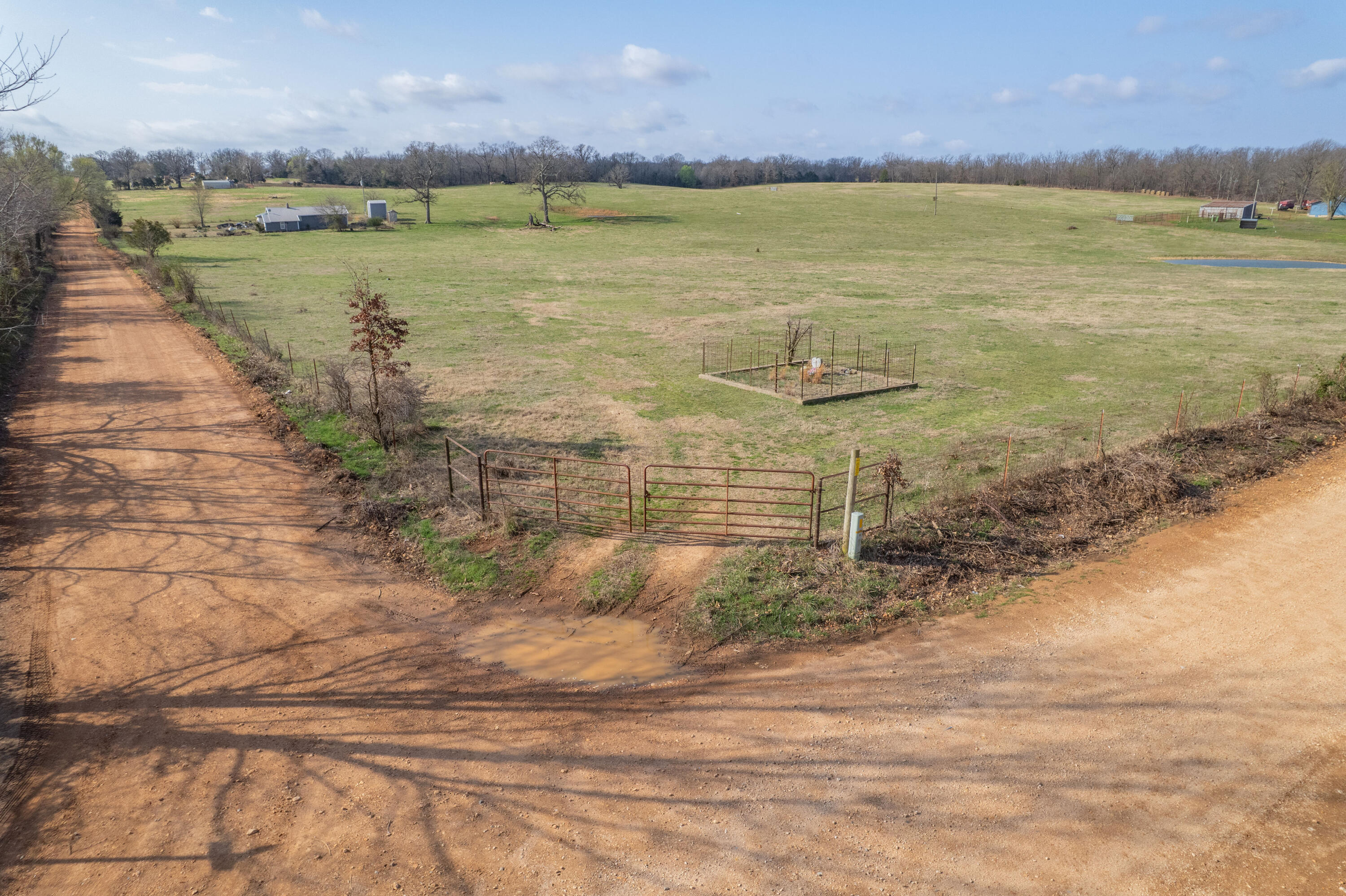 Photo 8 - Land for sale – 19+/-  Acres Holly Road  Southwest City, MO