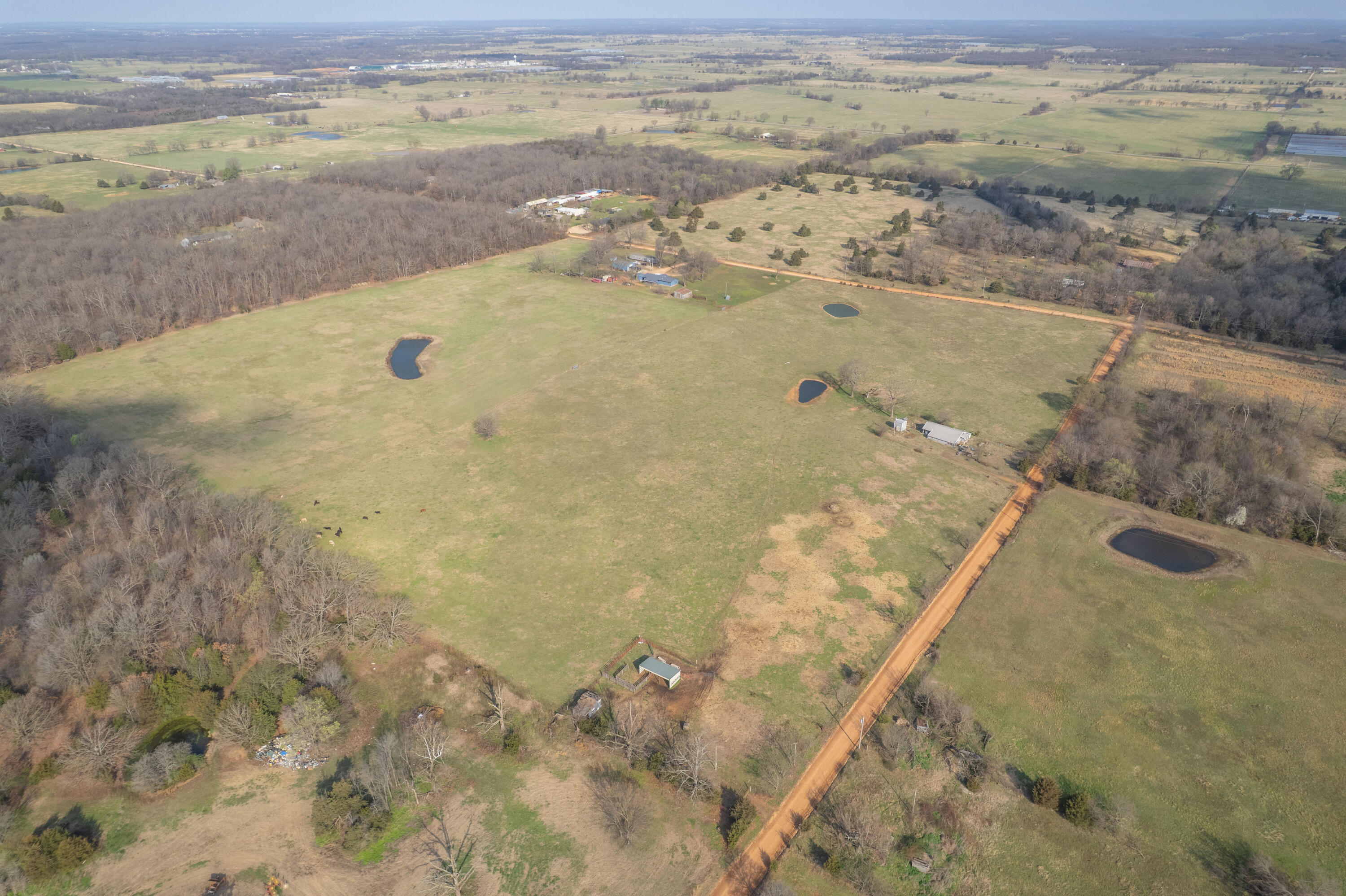 Photo 3 - Land for sale – 19+/-  Acres Holly Road  Southwest City, MO
