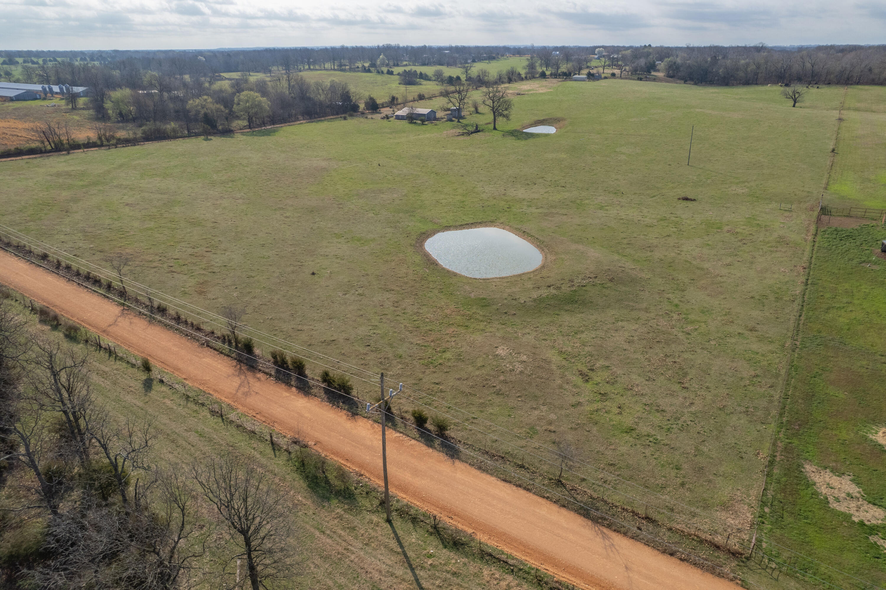 Photo 9 - Land for sale – 19+/-  Acres Holly Road  Southwest City, MO