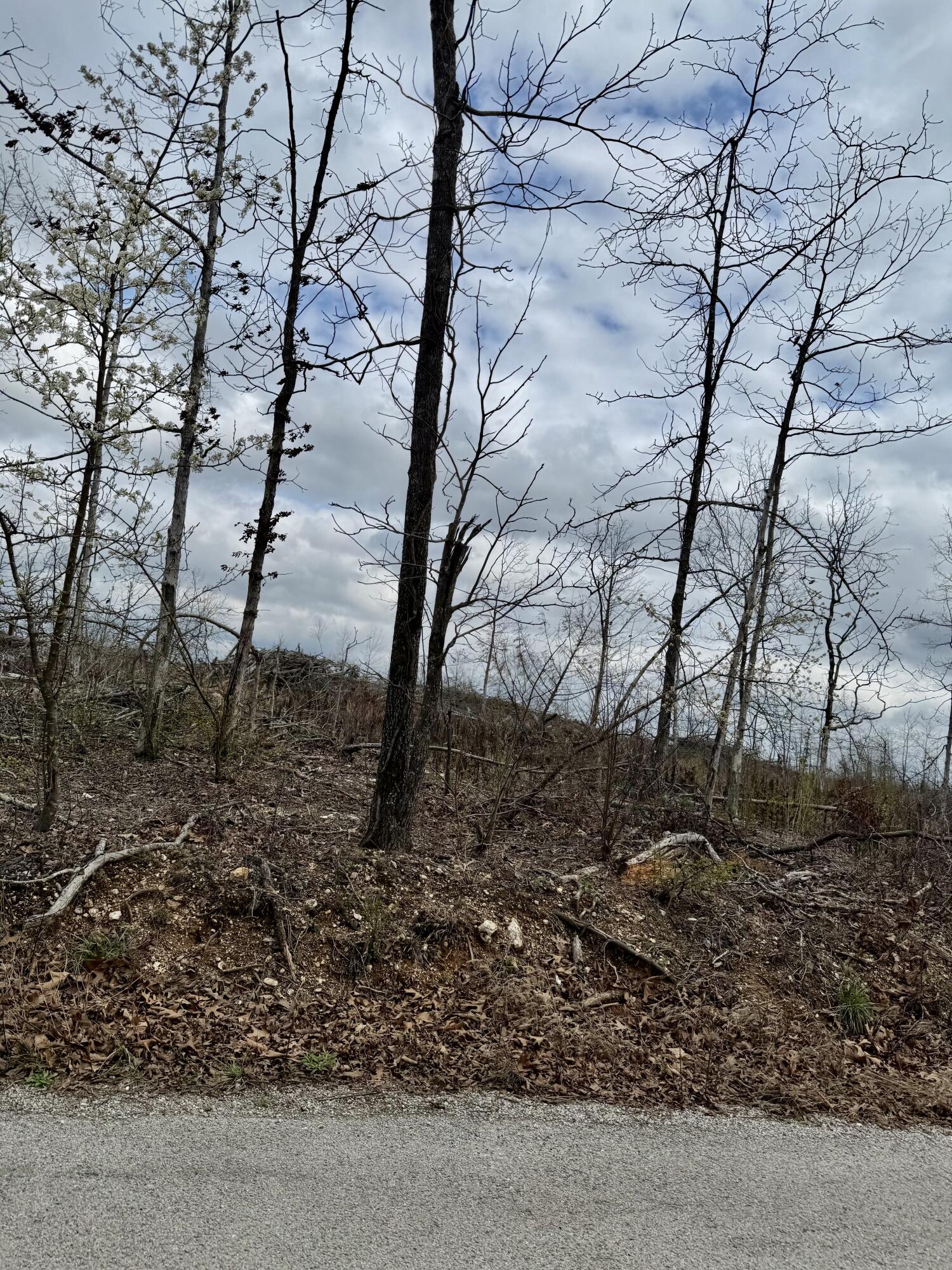 Photo 3 - Land for sale – 1365  County Road 3500   Mountain View, MO