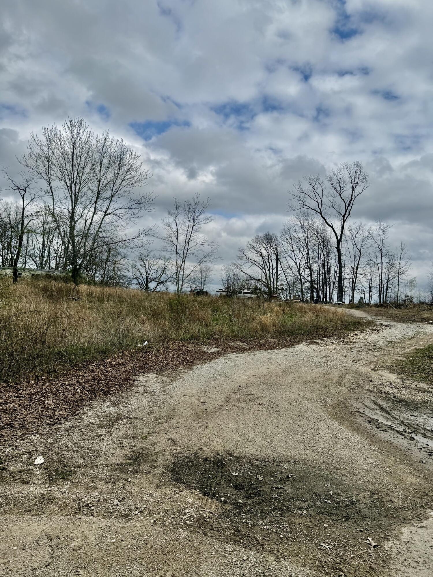 Land for sale – 1365  County Road 3500   Mountain View, MO
