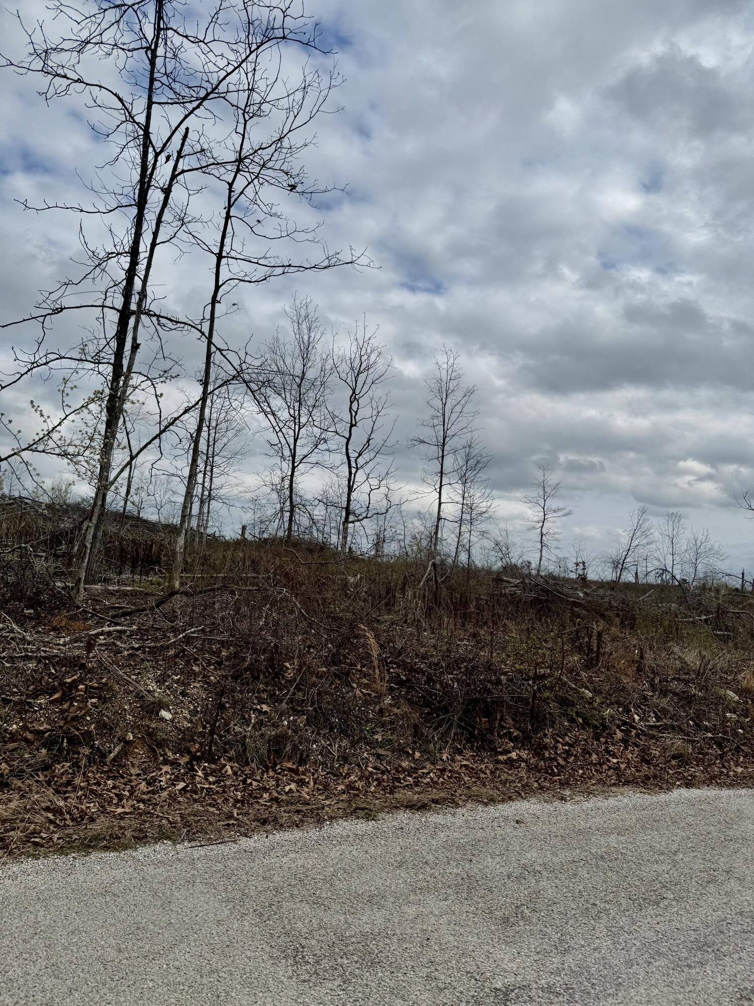 Photo 4 - Land for sale – 1365  County Road 3500   Mountain View, MO