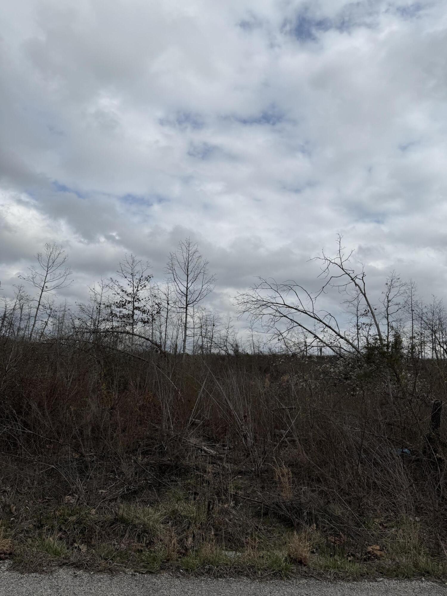 Photo 6 - Land for sale – 1365  County Road 3500   Mountain View, MO