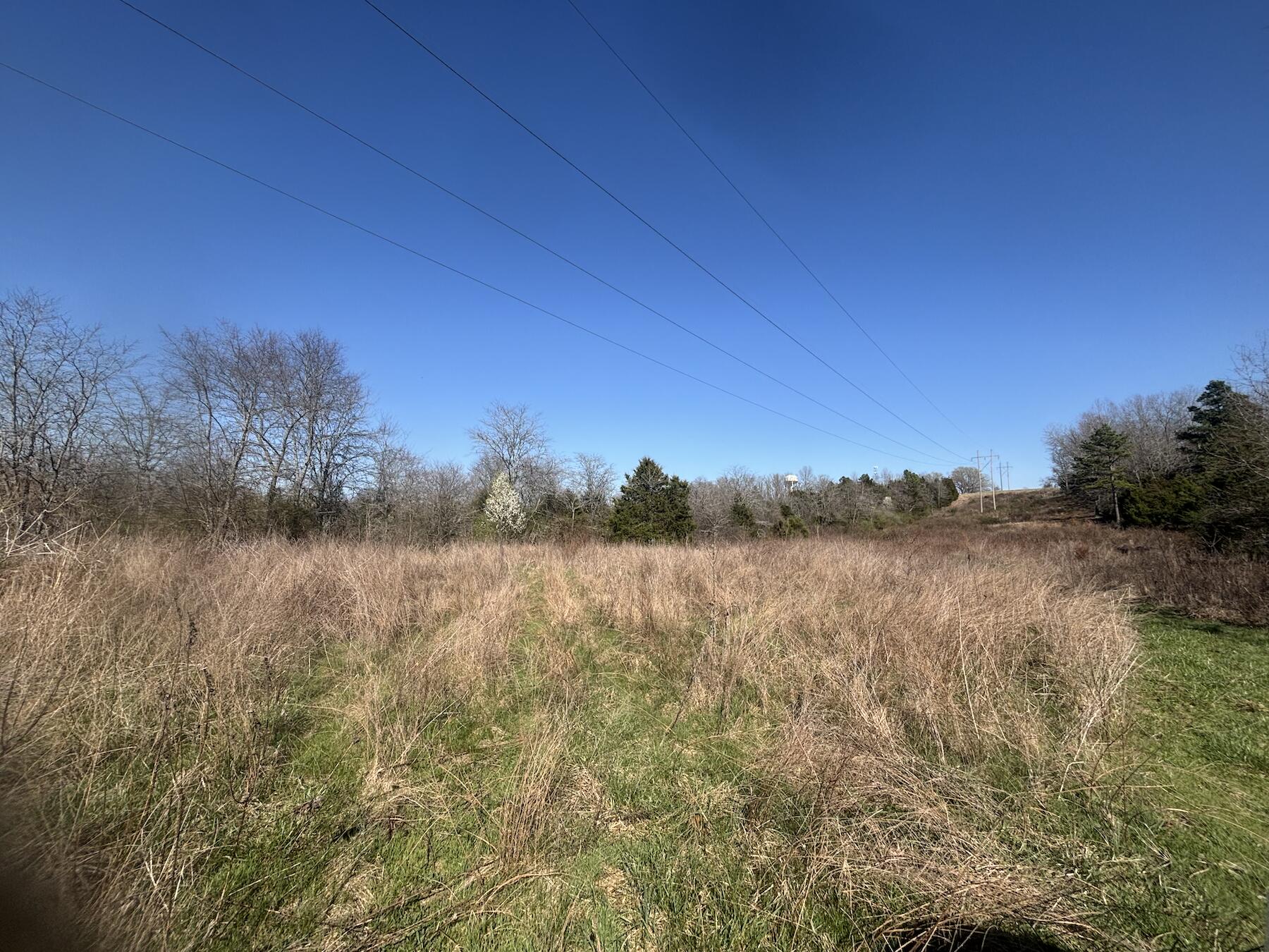 Photo 2 - Land for sale – 000  Weaver Street   Winona, MO