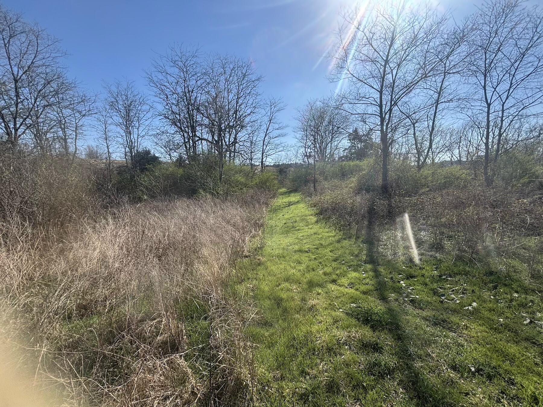 Land for sale – 000  Weaver Street   Winona, MO