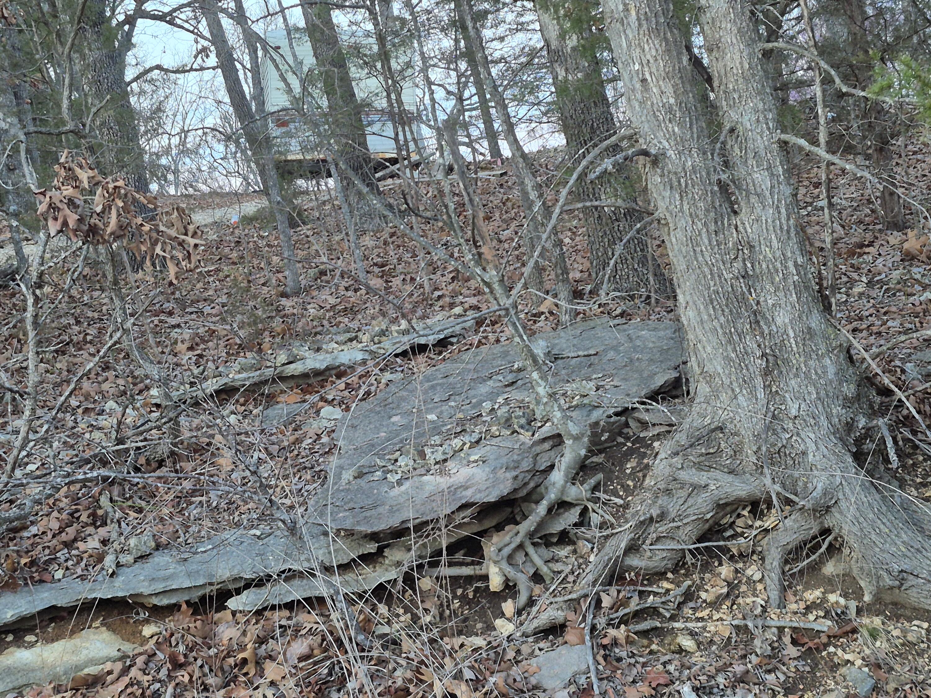 Photo 3 - Land for sale – 605  Shelton Drive  Hollister, MO