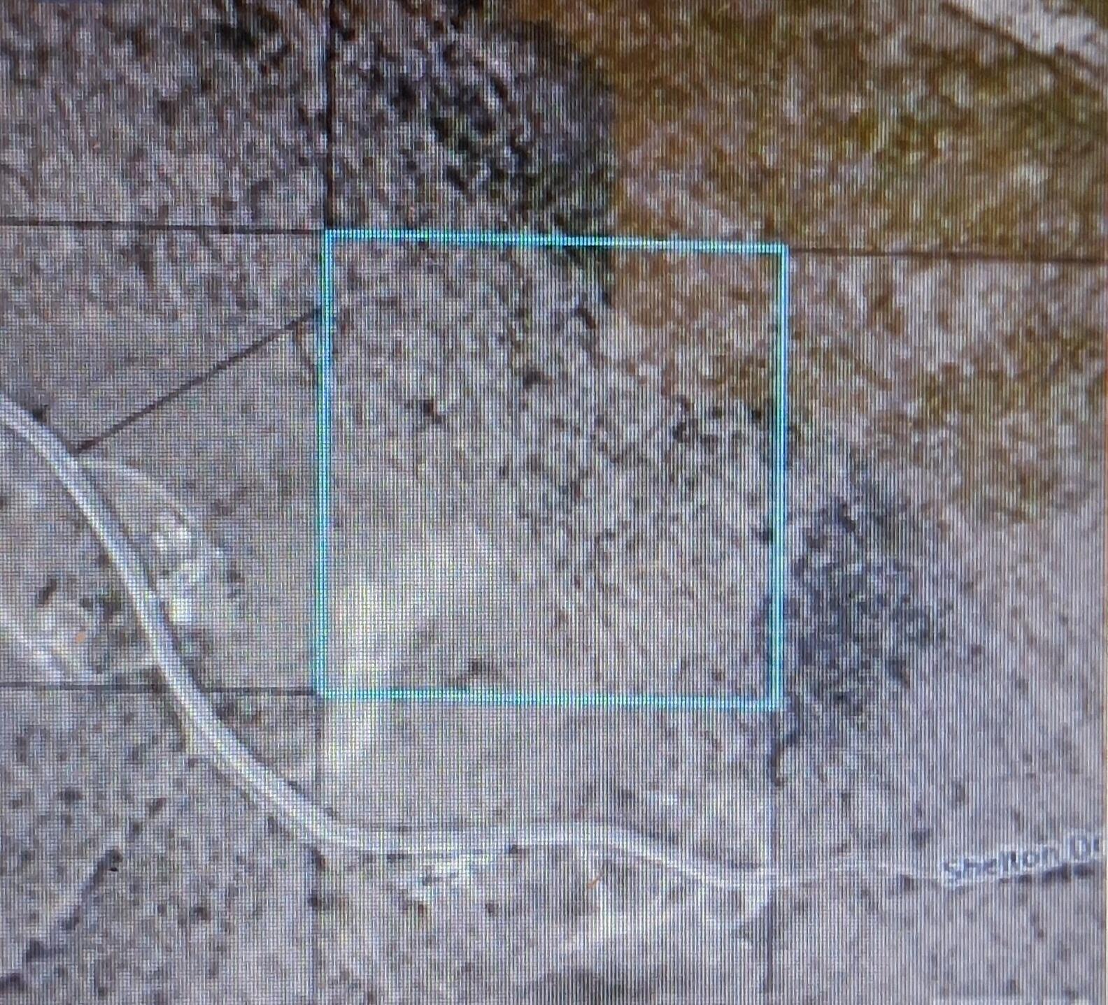 Photo 2 - Land for sale – 605  Shelton Drive  Hollister, MO