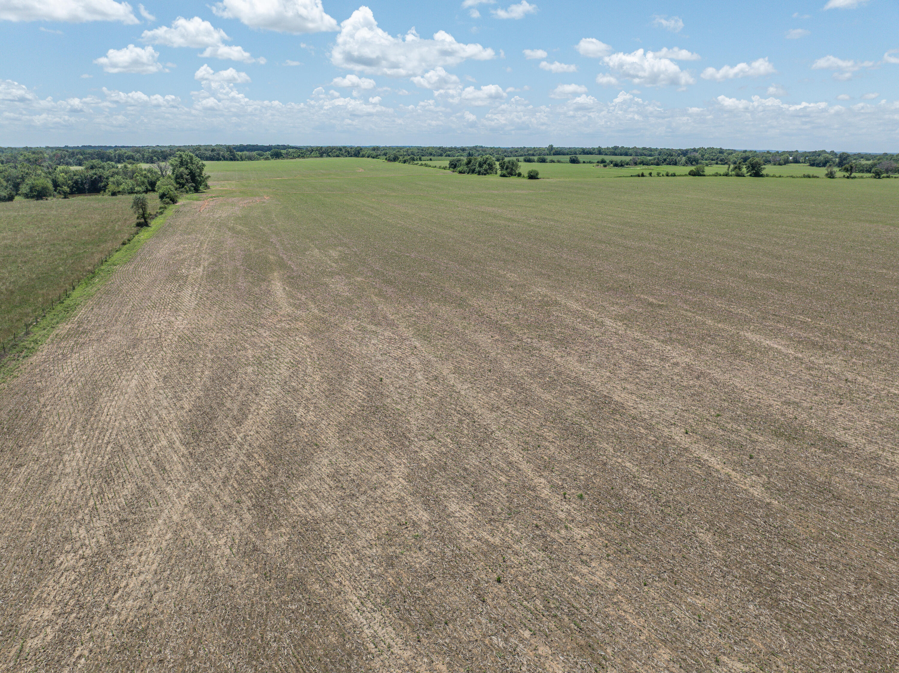 Photo 59 - Farm for sale – 861 N Dade 41   Lockwood, MO