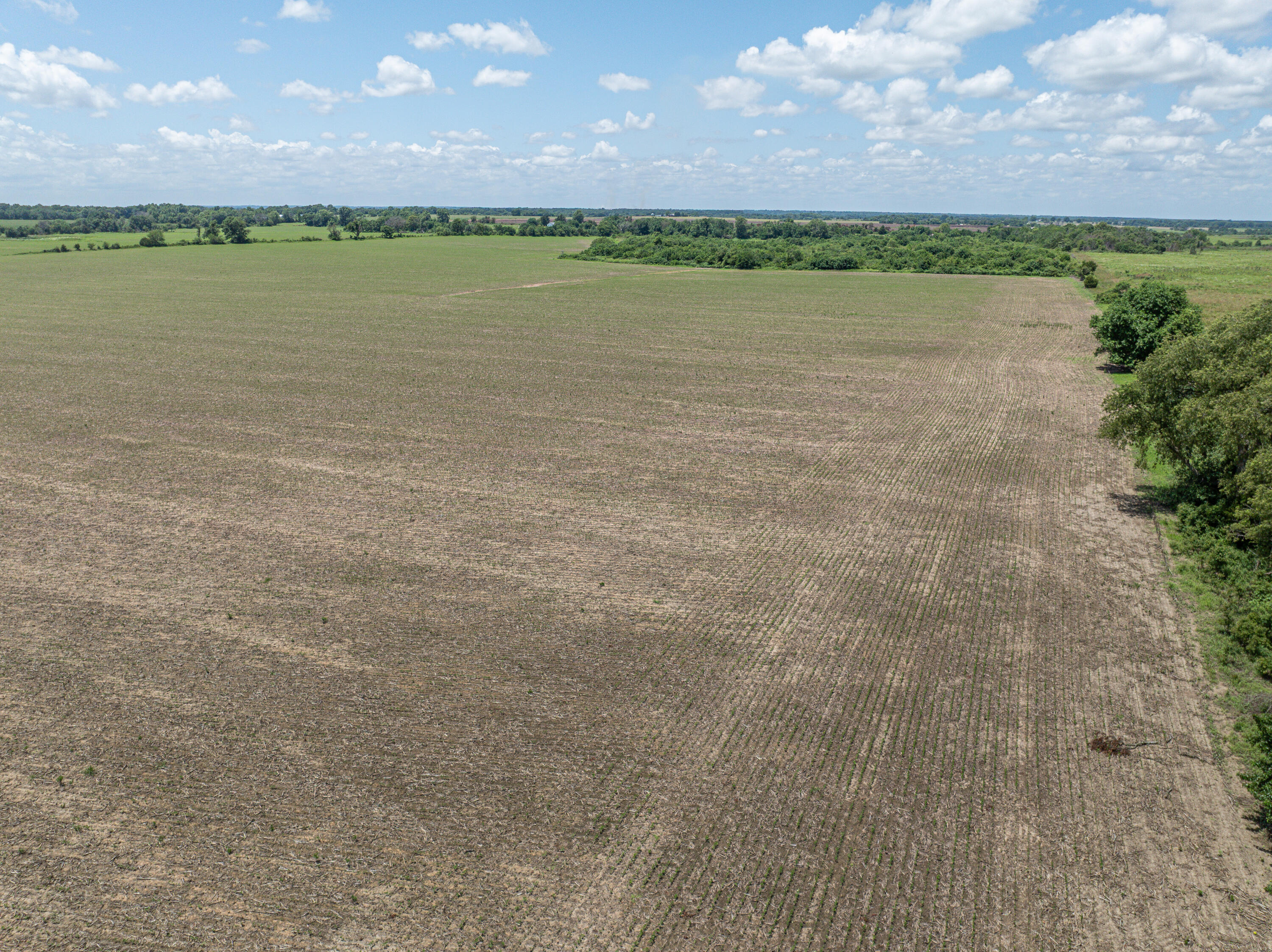 Photo 60 - Farm for sale – 861 N Dade 41   Lockwood, MO