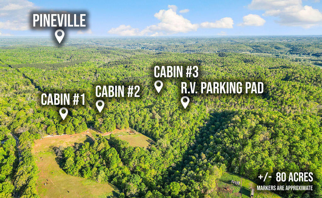 Photo 2 - Land for sale – 5641  Route K Tract A   Pineville, MO