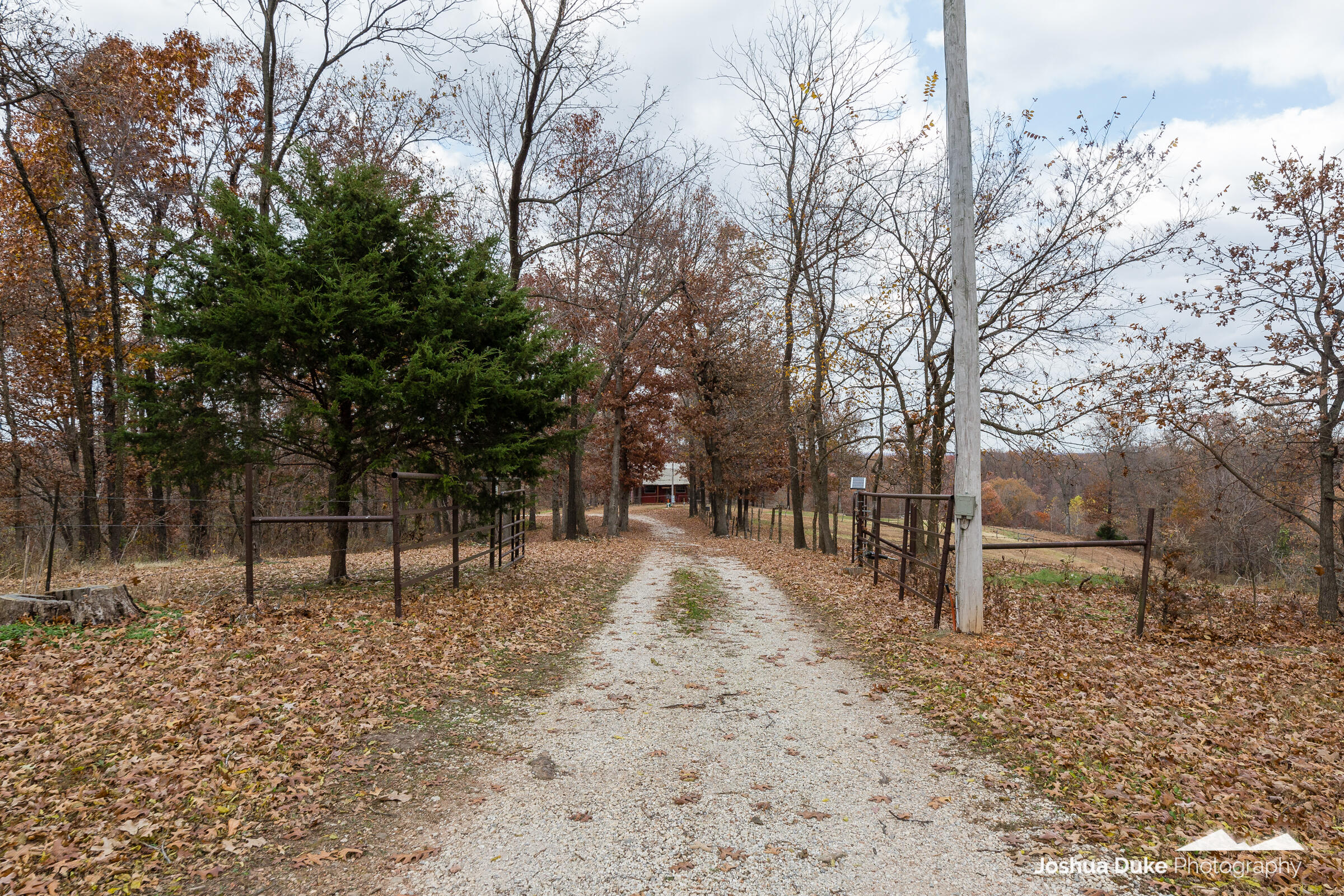 Photo 13 - Land for sale – 5641  Route K Tract A   Pineville, MO