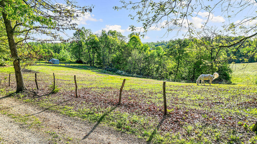 Photo 3 - Land for sale – 5641  Route K Tract A   Pineville, MO