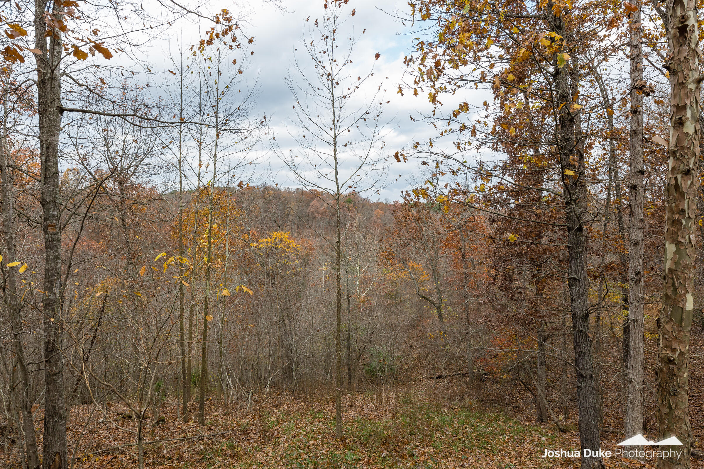 Photo 27 - Land for sale – 5641  Route K Tract A   Pineville, MO