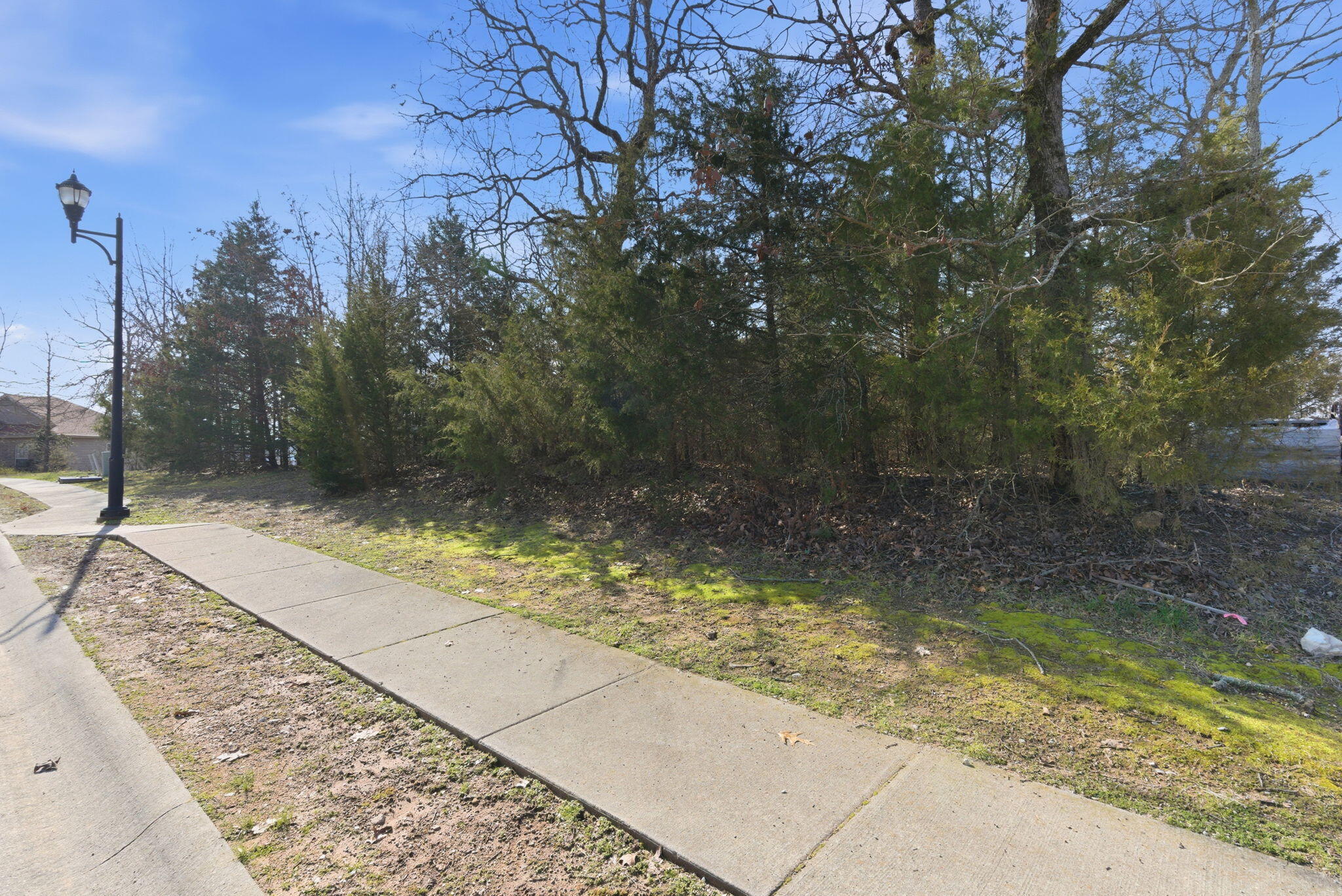 Photo 8 - Land for sale – 153  Windy Ridge Drive  Hollister, MO