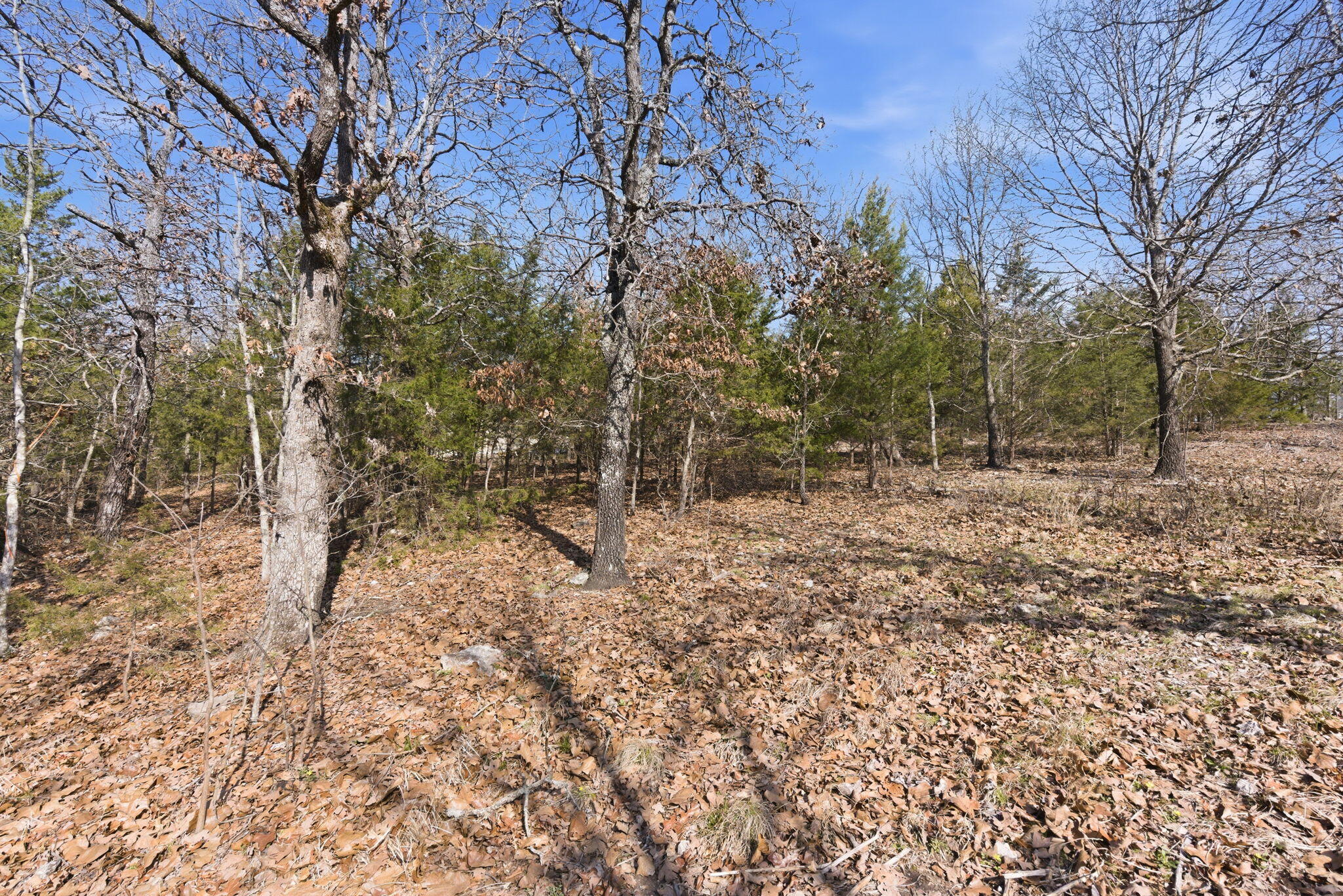 Photo 10 - Land for sale – 153  Windy Ridge Drive  Hollister, MO