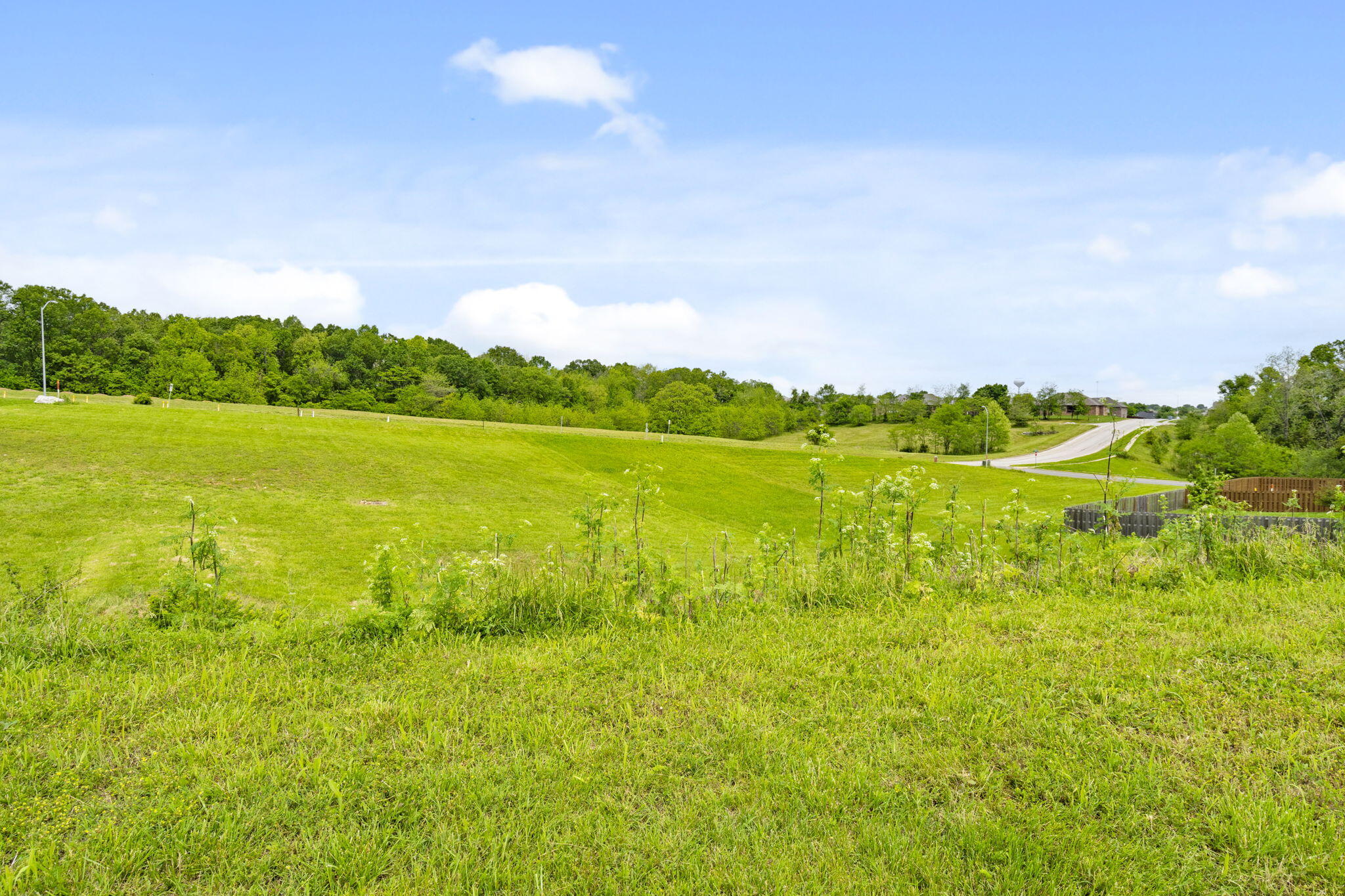 Photo 7 - Land for sale – 721  Oak Terrace Drive  Nixa, MO