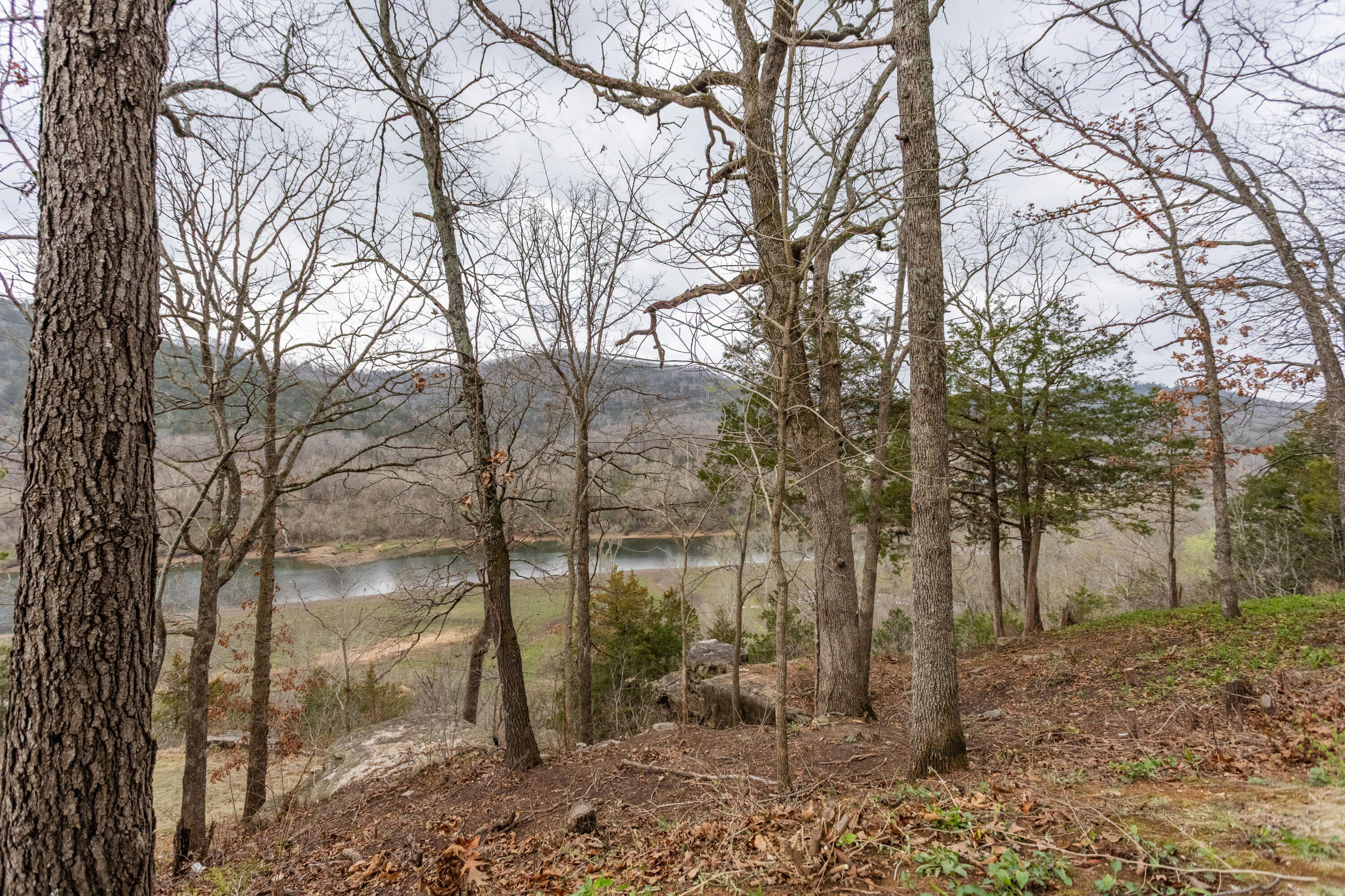 Photo 22 - Residential for sale – 150  The Bluffs   Branson, MO