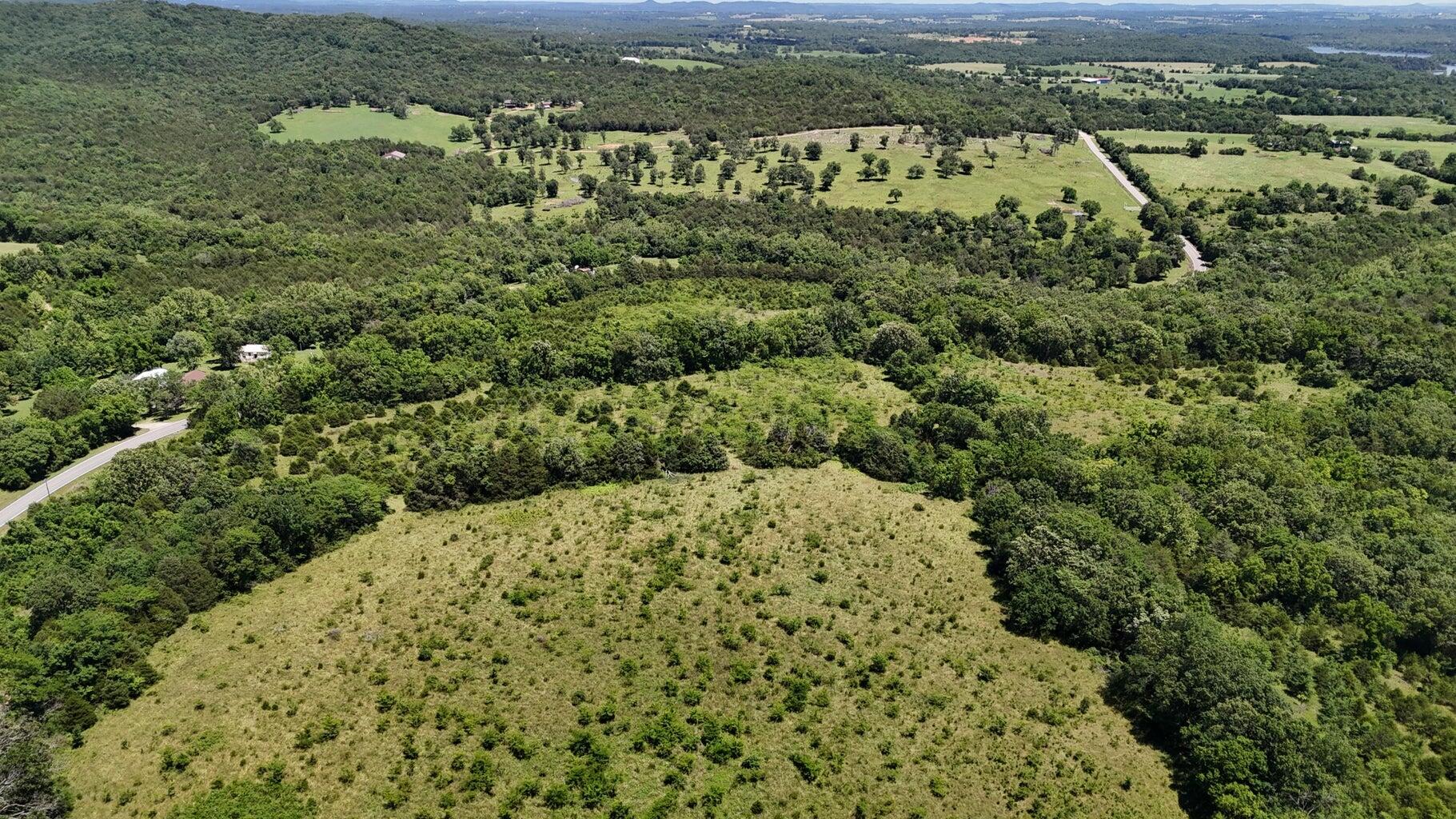 Photo 6 - Land for sale – Tract 4  Highway   Eagle Rock, MO