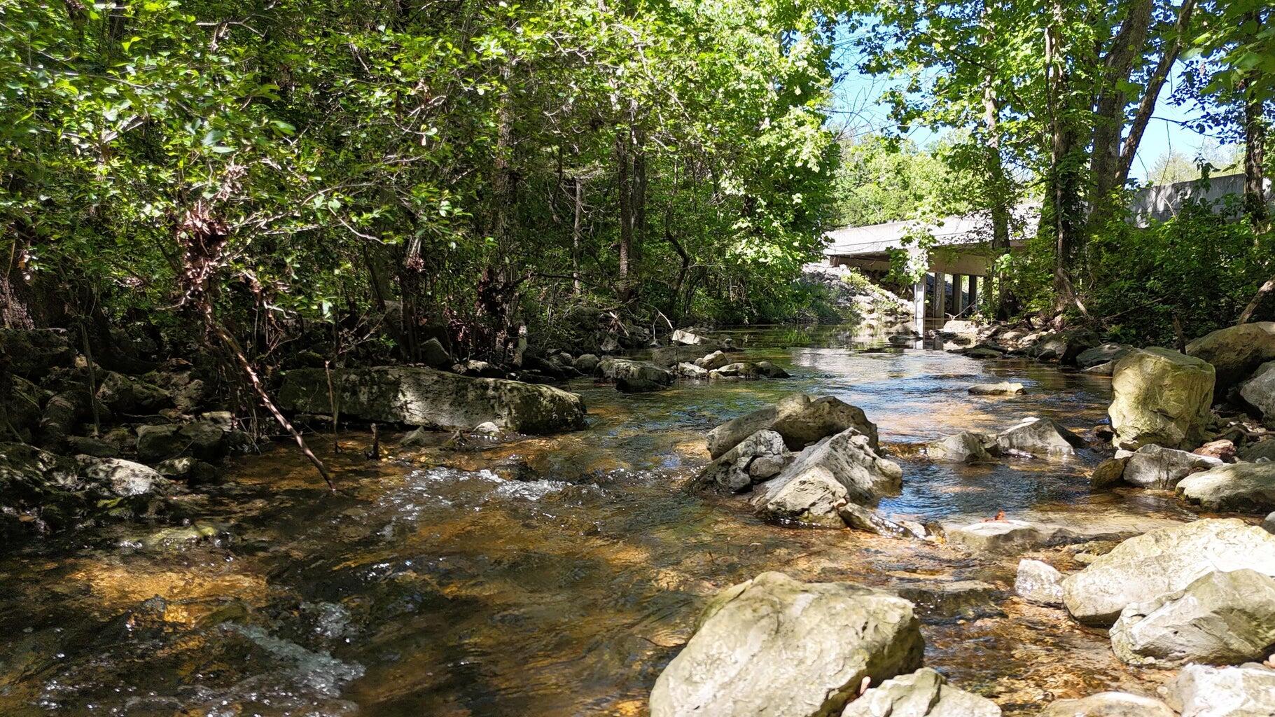 Photo 16 - Land for sale – Tract 4  Highway   Eagle Rock, MO