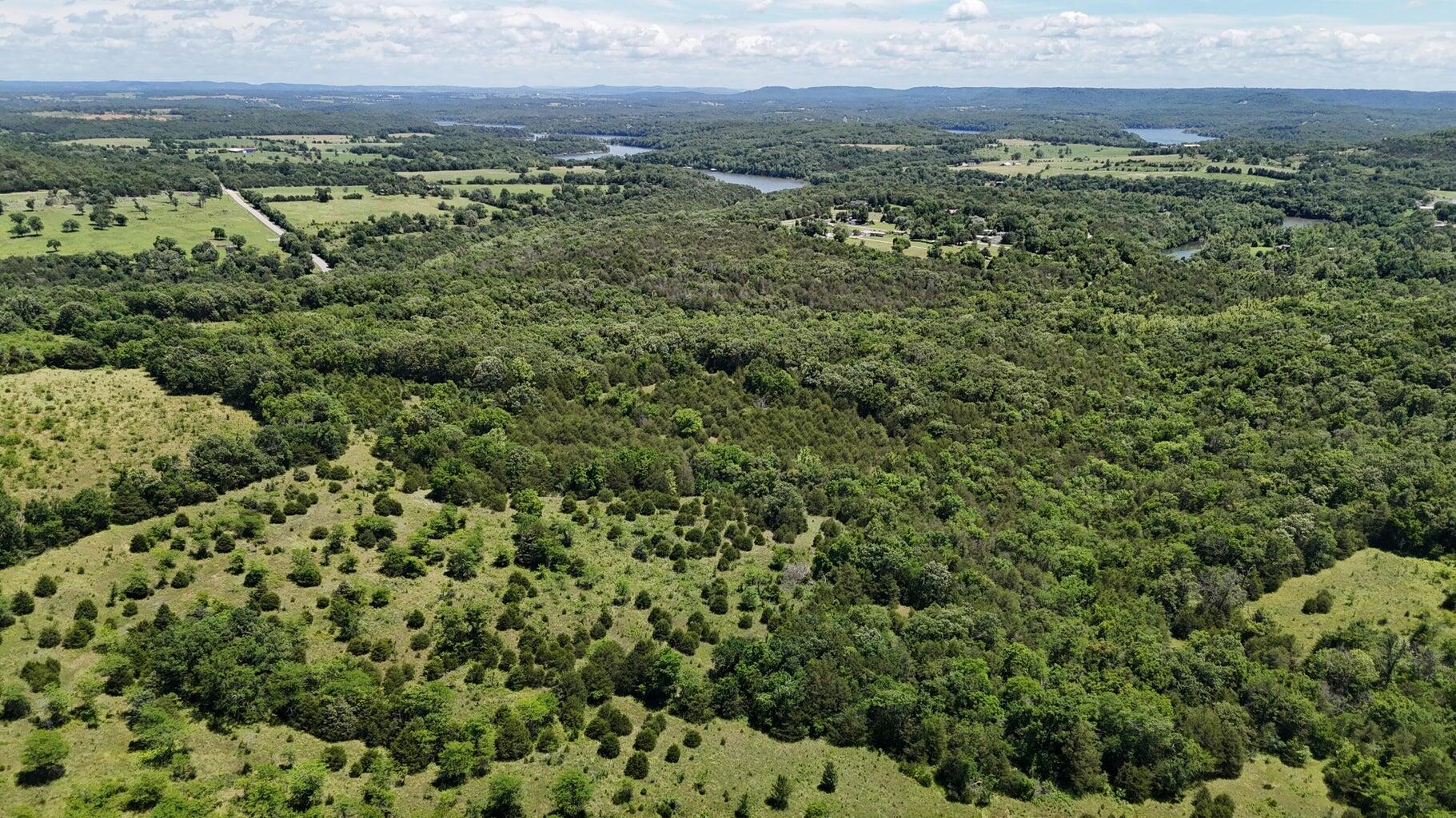 Photo 4 - Land for sale – Tract 4  Highway   Eagle Rock, MO