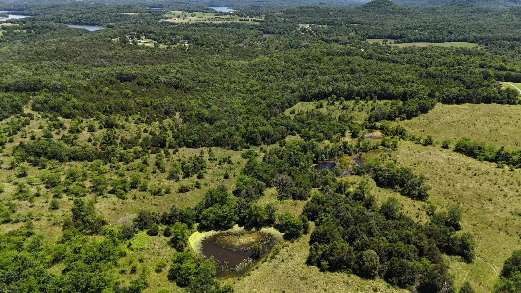Photo 2 - Land for sale – Tract 4  Highway   Eagle Rock, MO
