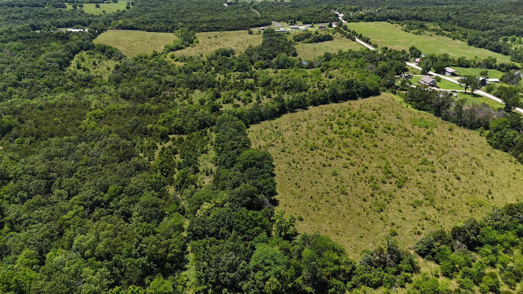 Photo 12 - Land for sale – Tract 4  Highway   Eagle Rock, MO