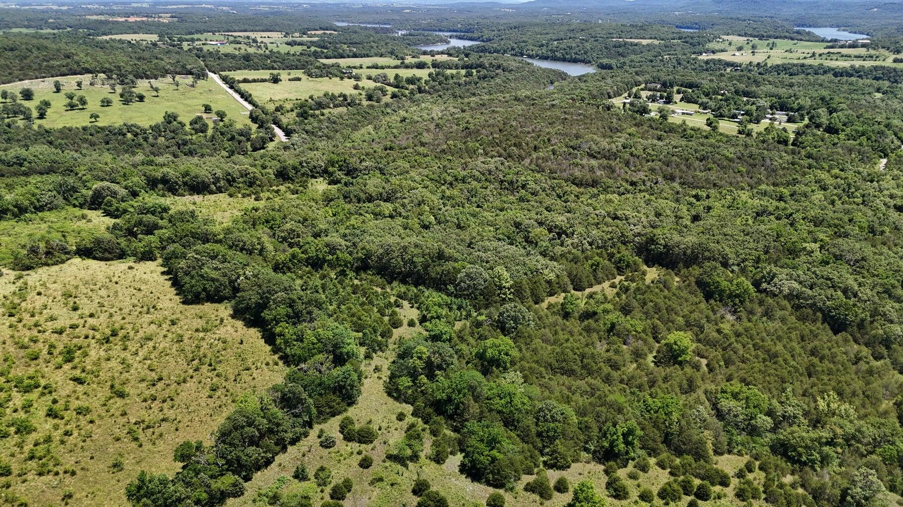 Photo 5 - Land for sale – Tract 4  Highway   Eagle Rock, MO