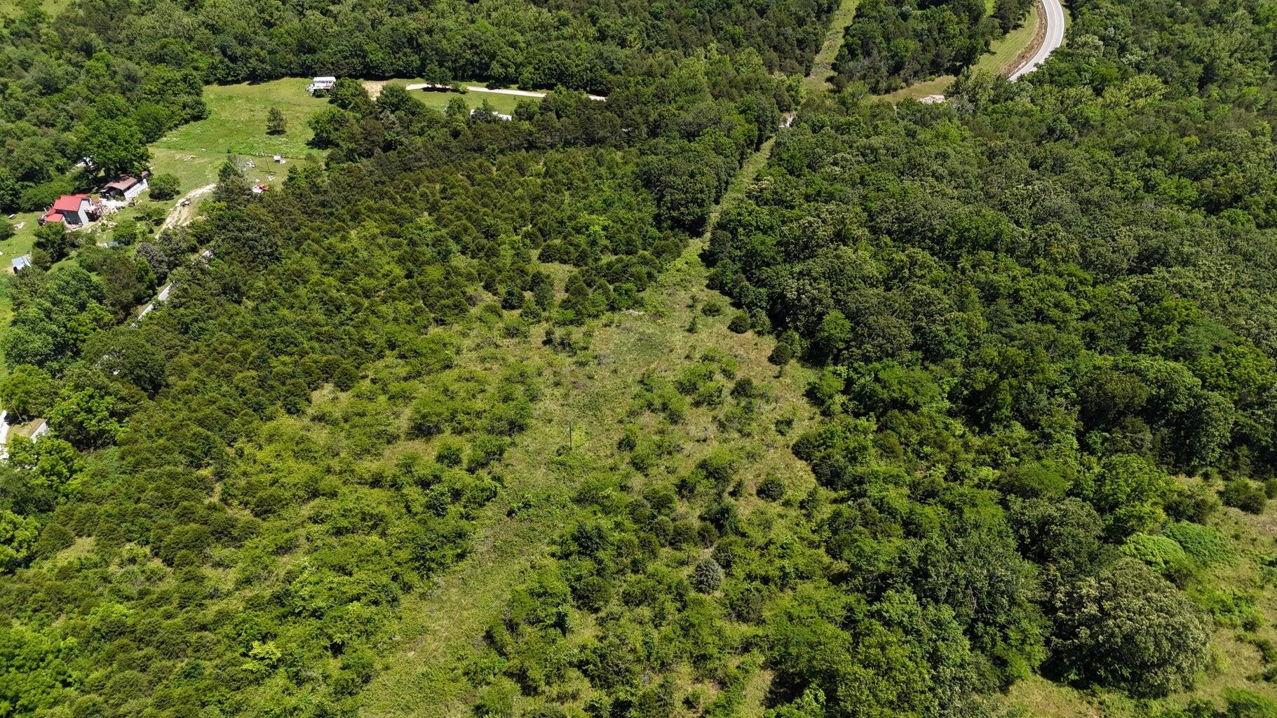 Photo 7 - Land for sale – Tract 4  Highway   Eagle Rock, MO
