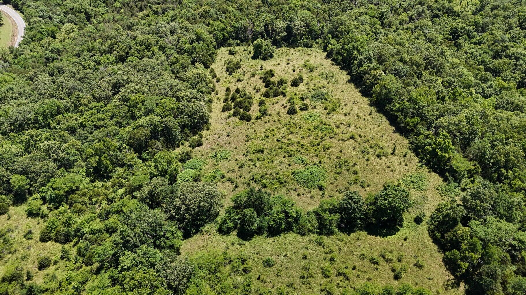 Photo 8 - Land for sale – Tract 4  Highway   Eagle Rock, MO