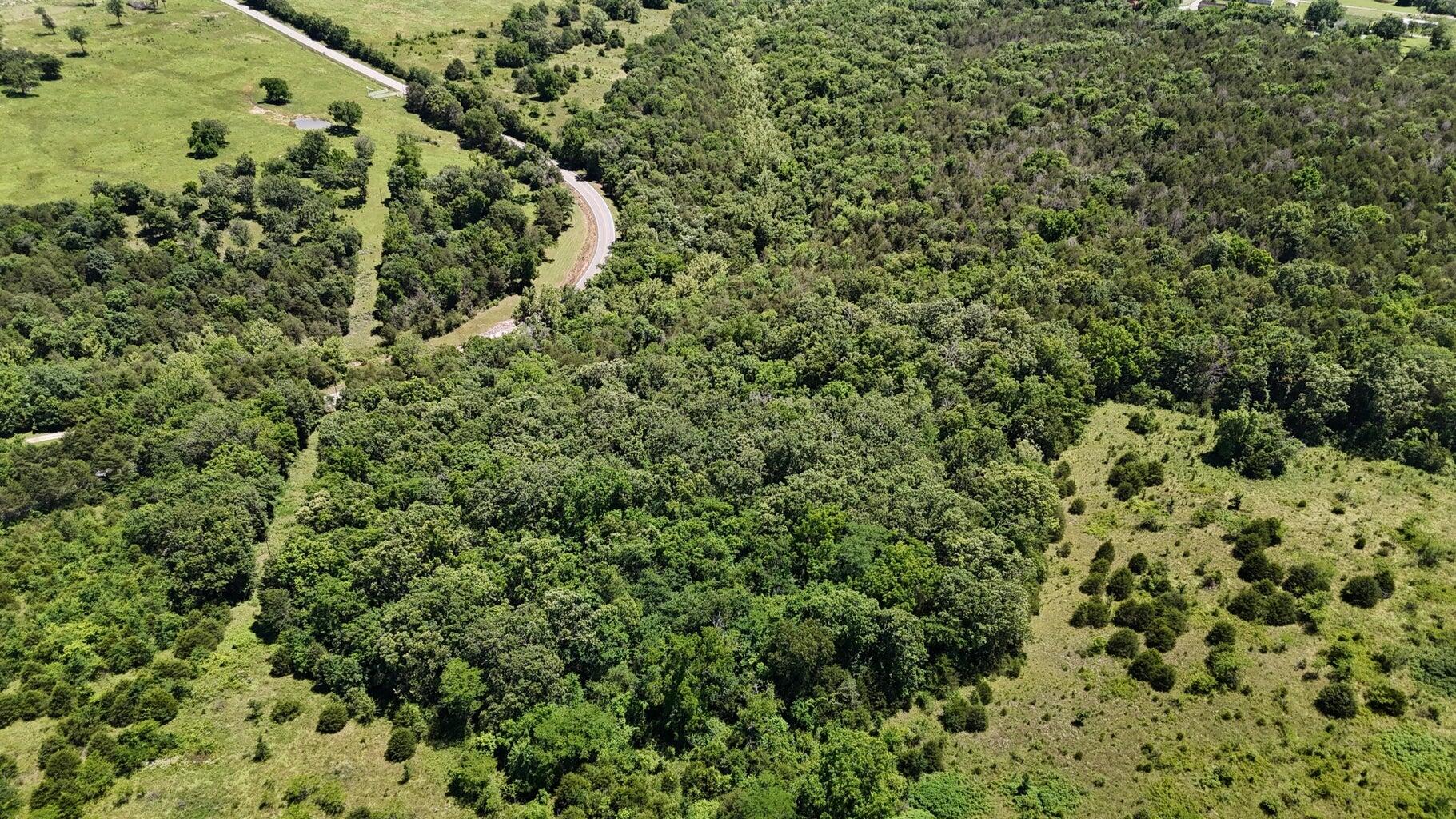 Photo 9 - Land for sale – Tract 4  Highway   Eagle Rock, MO