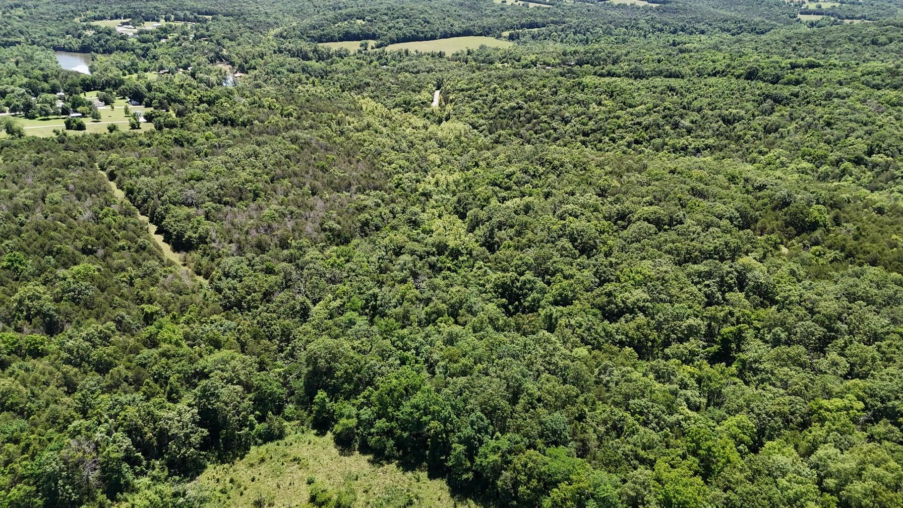 Photo 11 - Land for sale – Tract 4  Highway   Eagle Rock, MO
