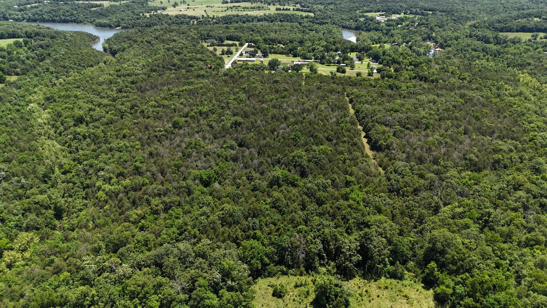 Photo 3 - Land for sale – Tract 3a  1'St Street  Eagle Rock, MO
