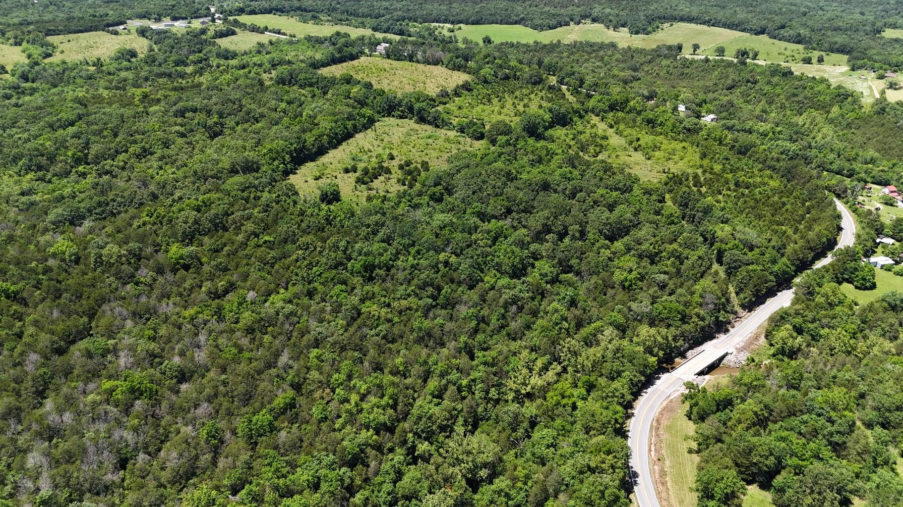 Photo 4 - Land for sale – Tract 3a  1'St Street  Eagle Rock, MO