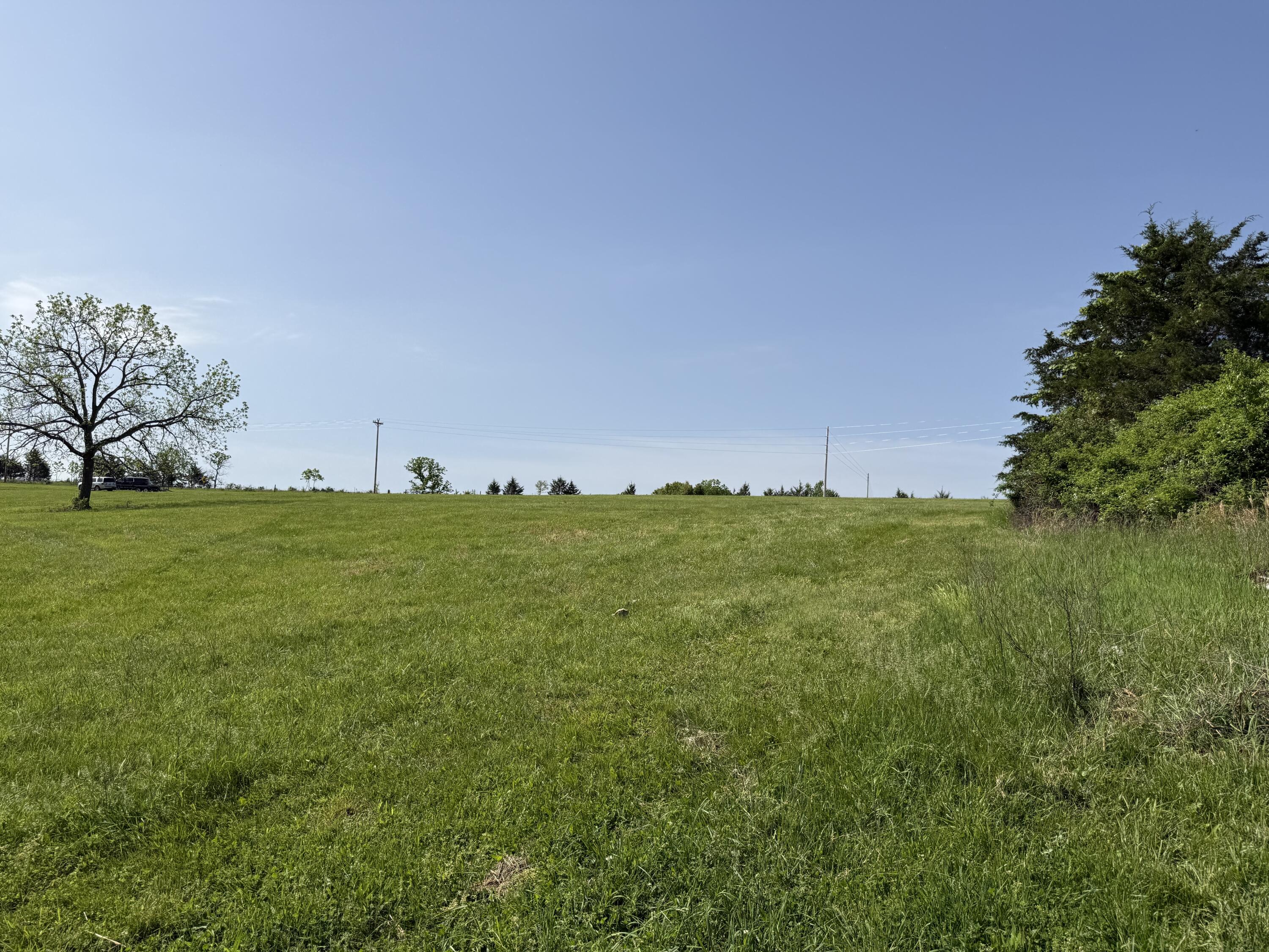 Photo 14 - Land for sale – 000  Highway M Tract F   Cabool, MO