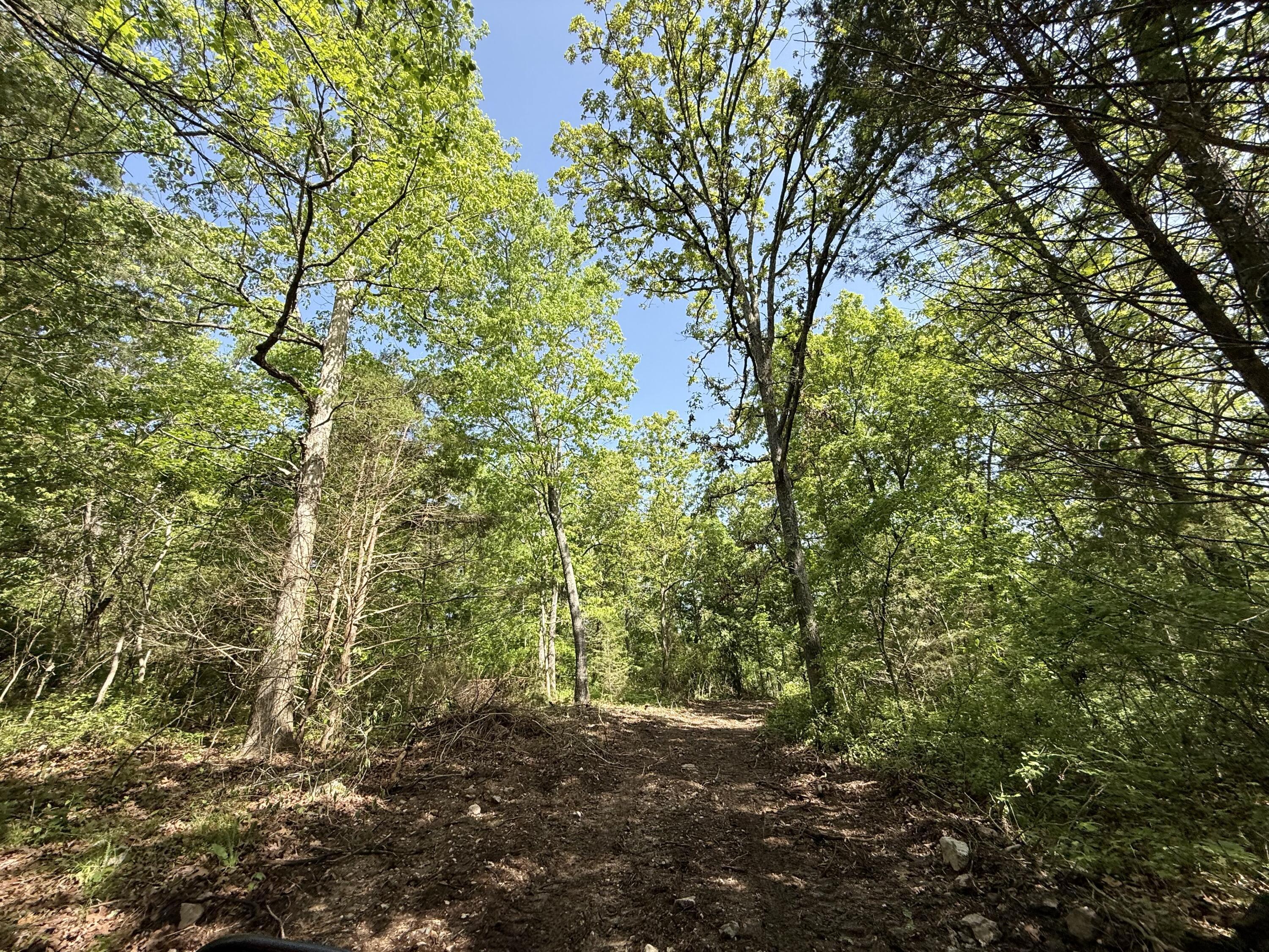 Photo 7 - Land for sale – 000  Highway M Tract F   Cabool, MO