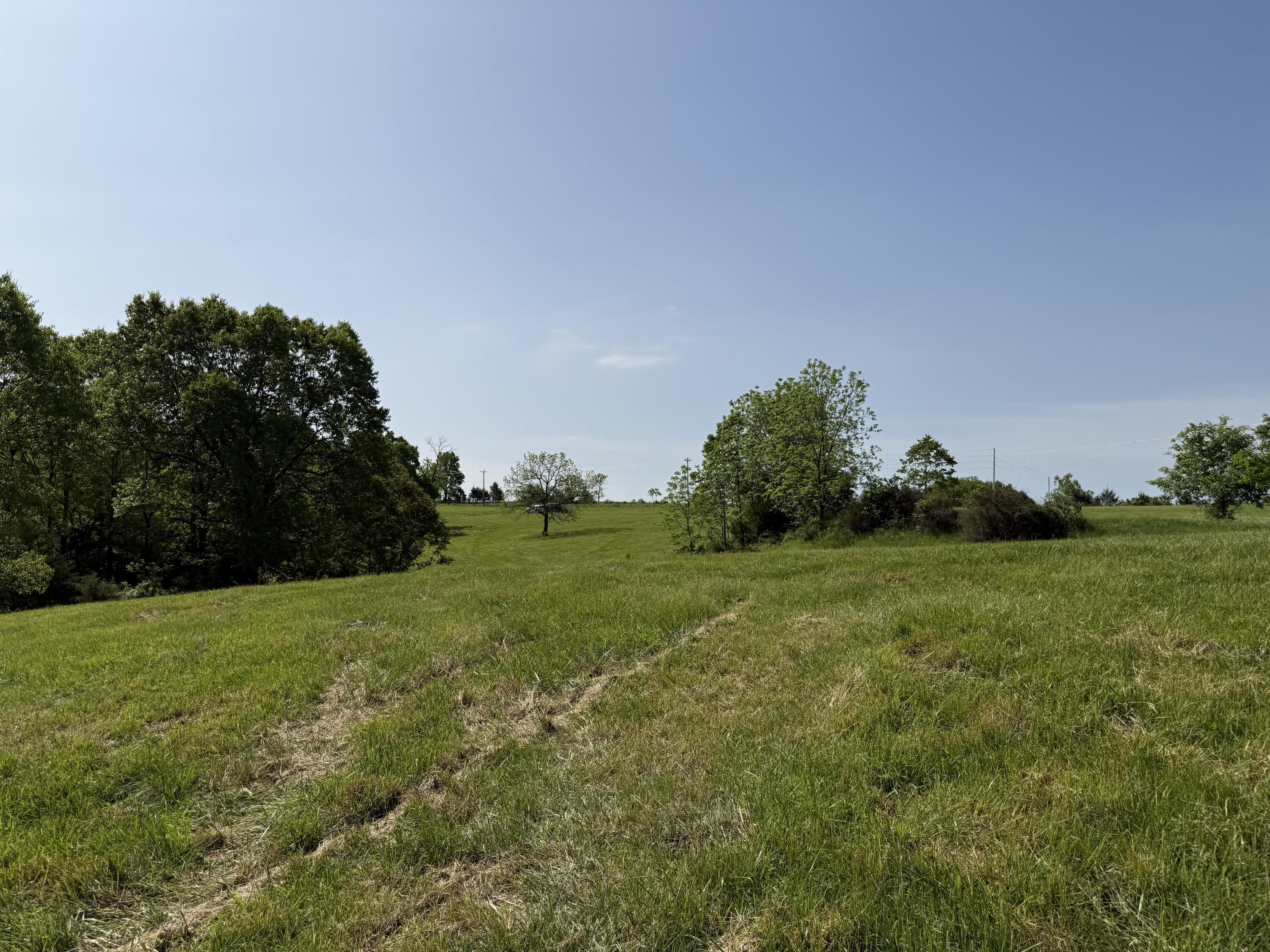 Photo 13 - Land for sale – 000  Highway M Tract F   Cabool, MO