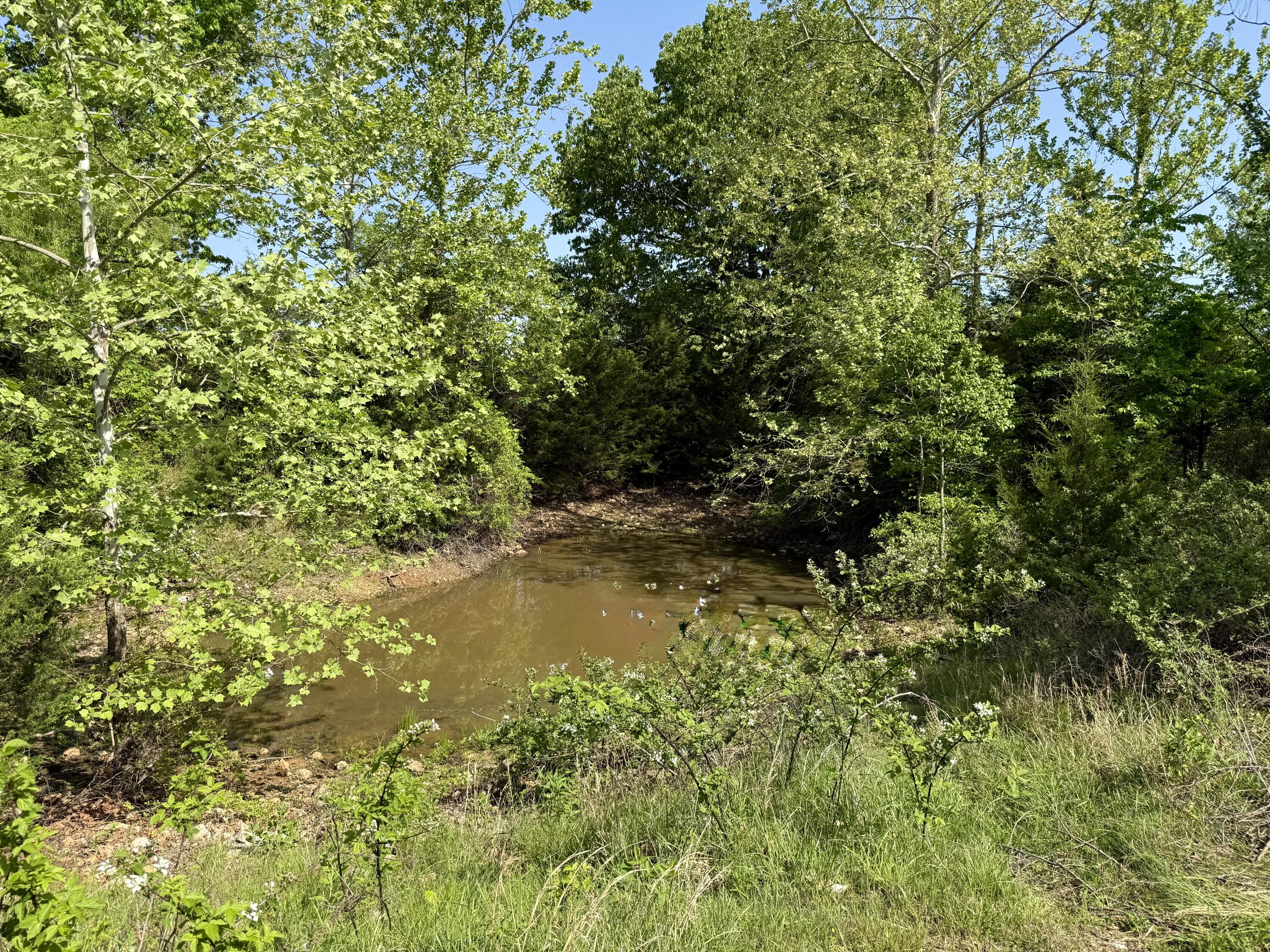 Photo 5 - Land for sale – 000  Highway M Tract F   Cabool, MO
