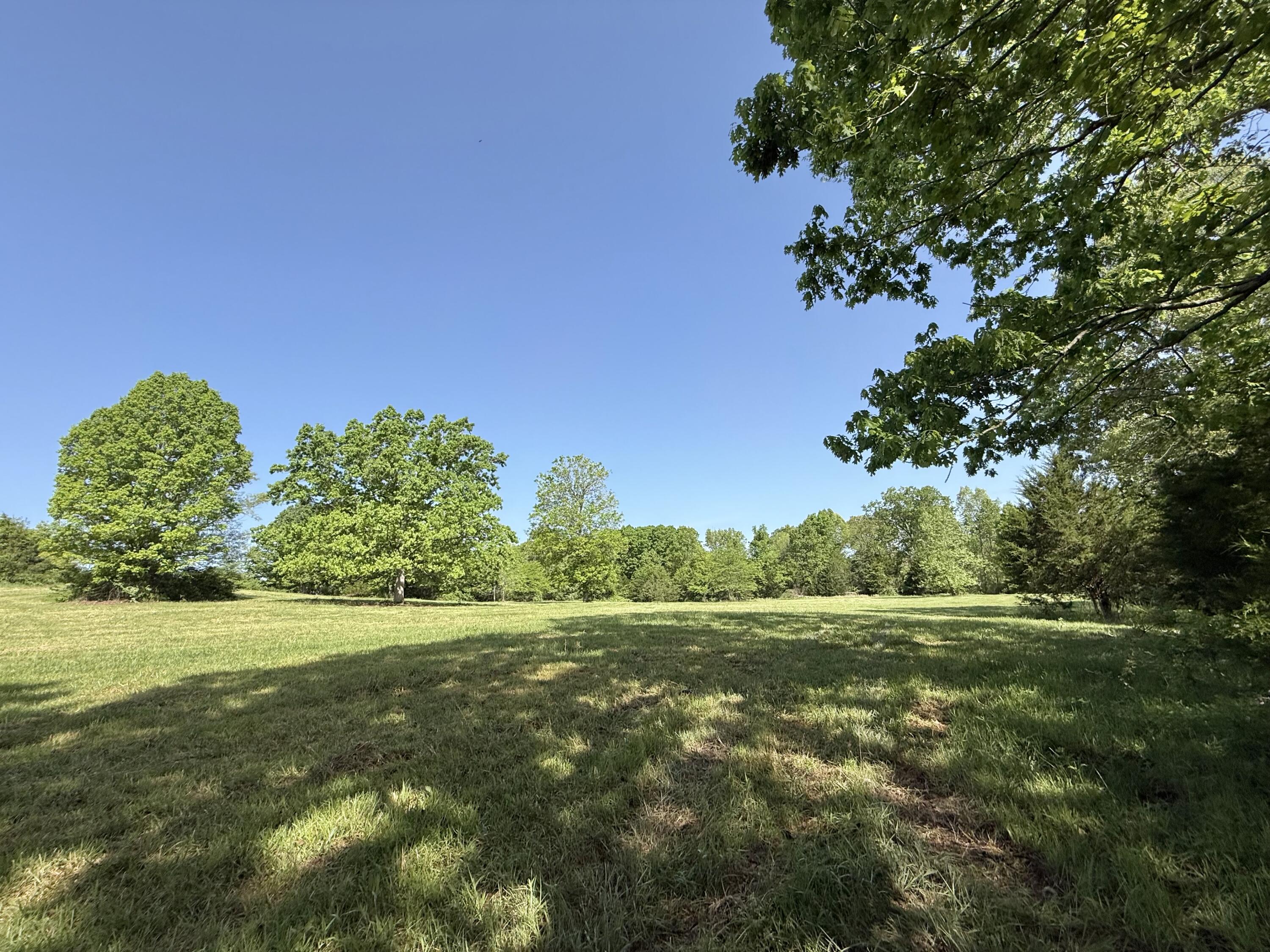Photo 9 - Land for sale – 000  Highway M Tract F   Cabool, MO