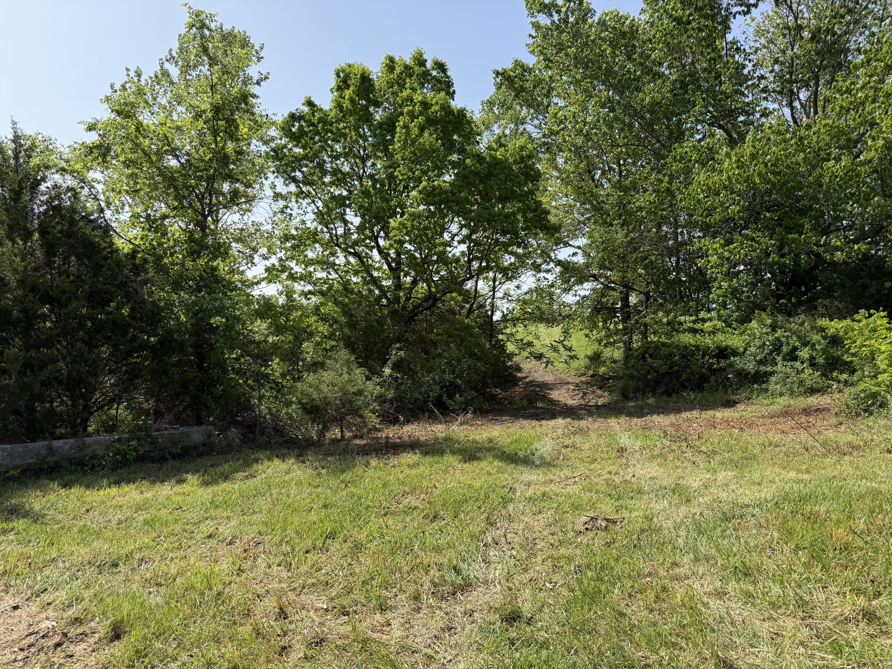 Photo 11 - Land for sale – 000  Highway M Tract F   Cabool, MO