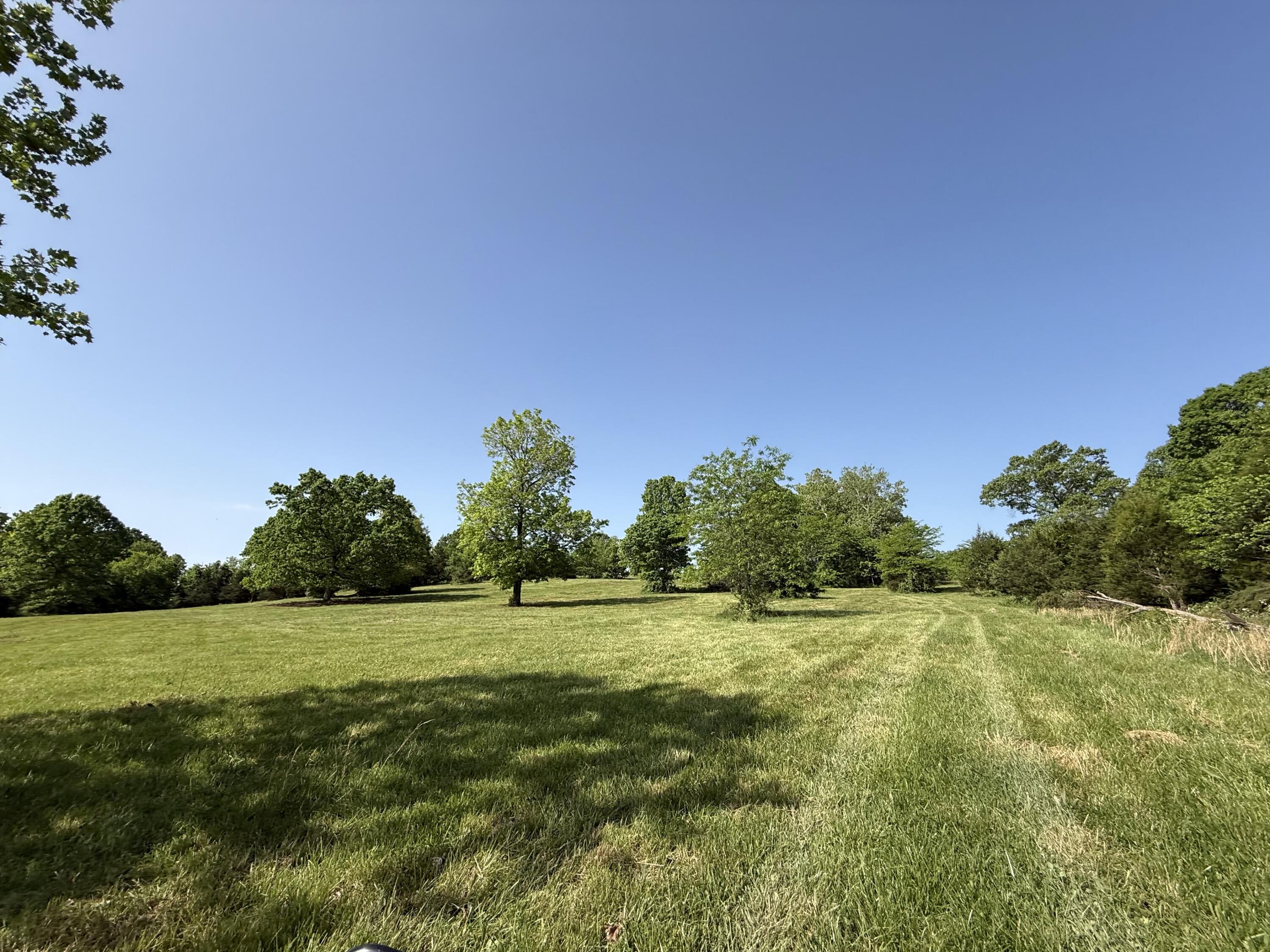 Photo 10 - Land for sale – 000  Highway M Tract F   Cabool, MO