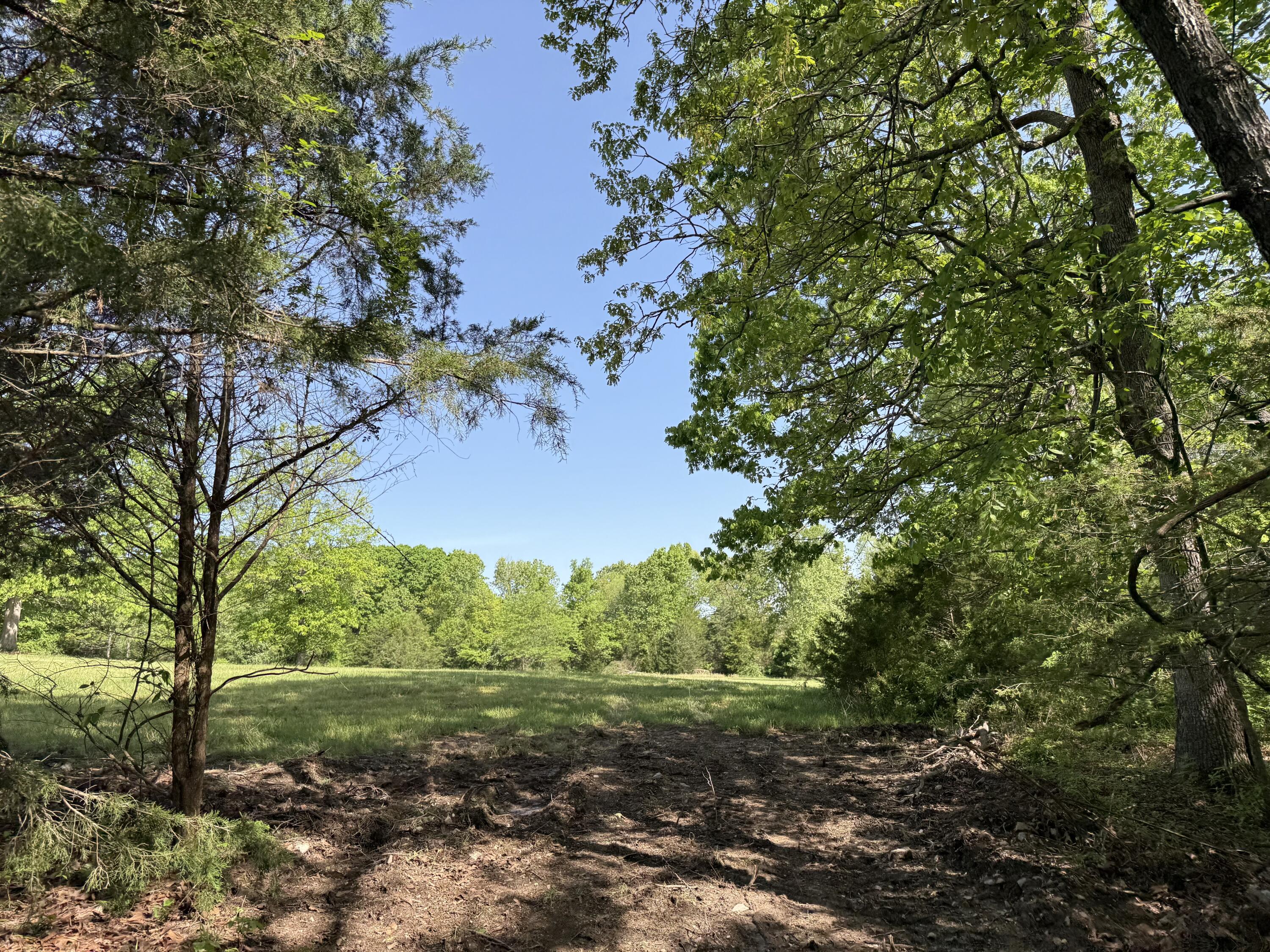 Photo 8 - Land for sale – 000  Highway M Tract F   Cabool, MO