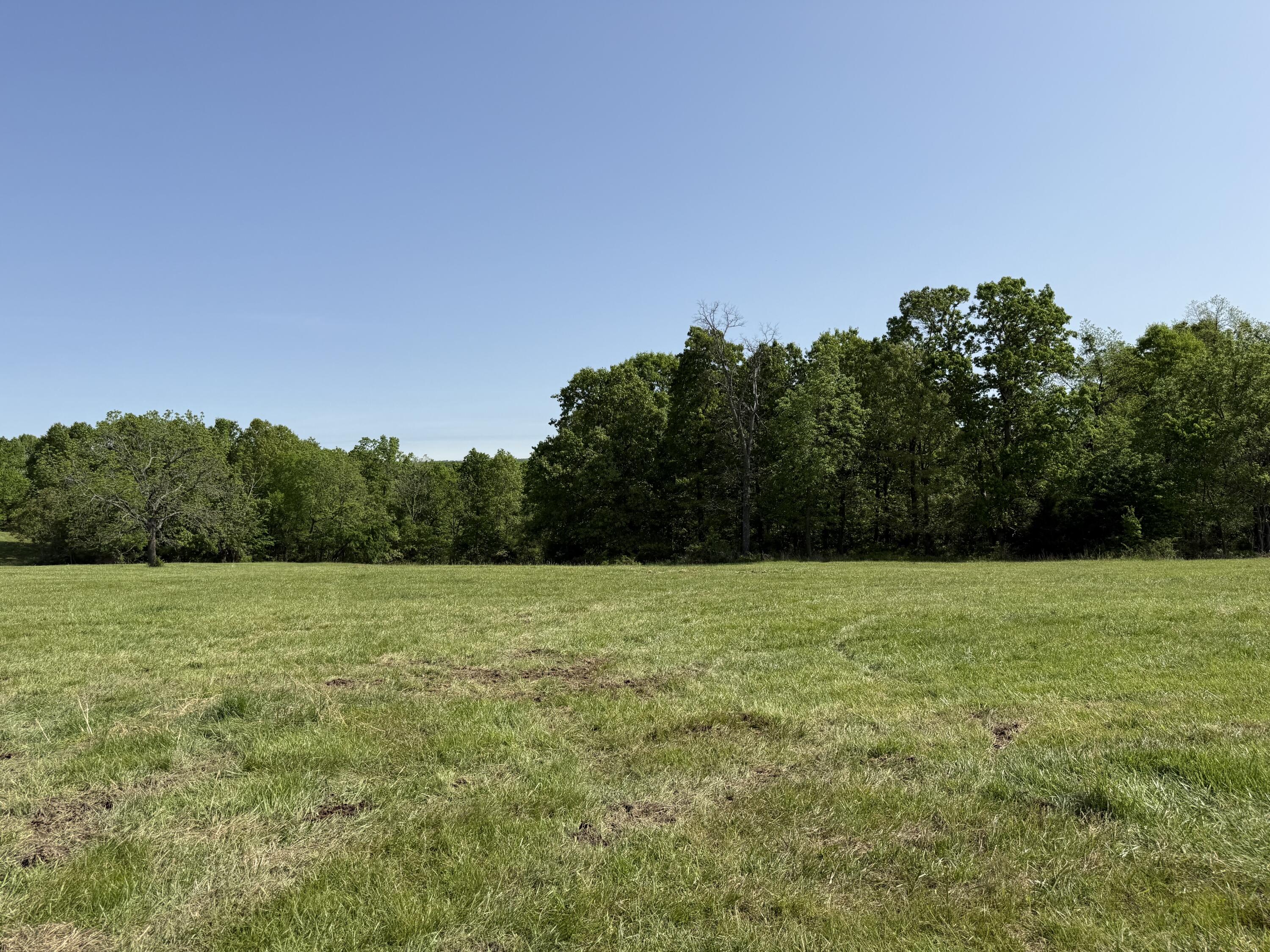 Land for sale – 000  Highway M Tract F   Cabool, MO