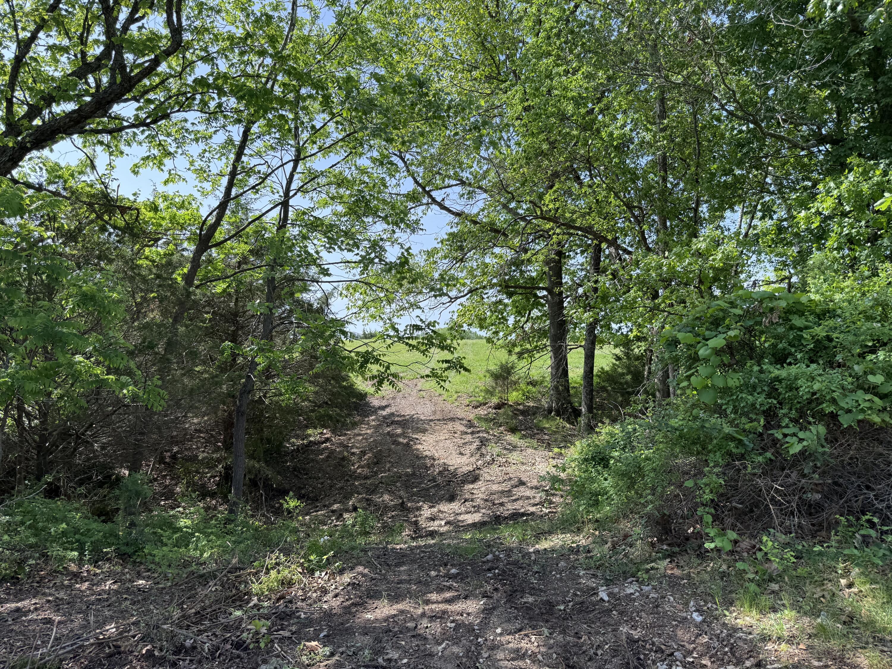 Photo 12 - Land for sale – 000  Highway M Tract F   Cabool, MO