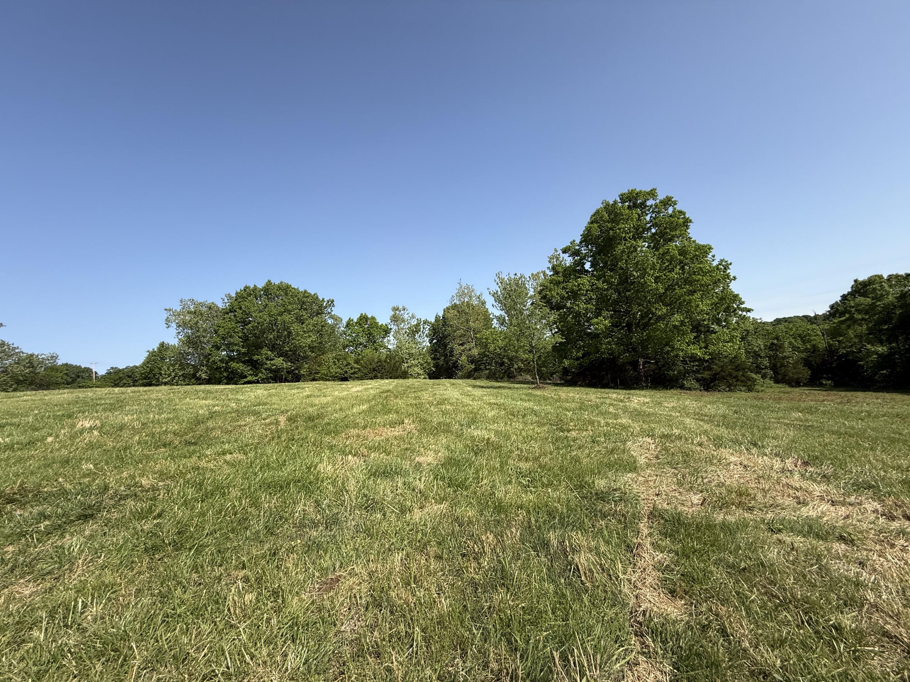 Photo 4 - Land for sale – 000  Highway M Tract F   Cabool, MO