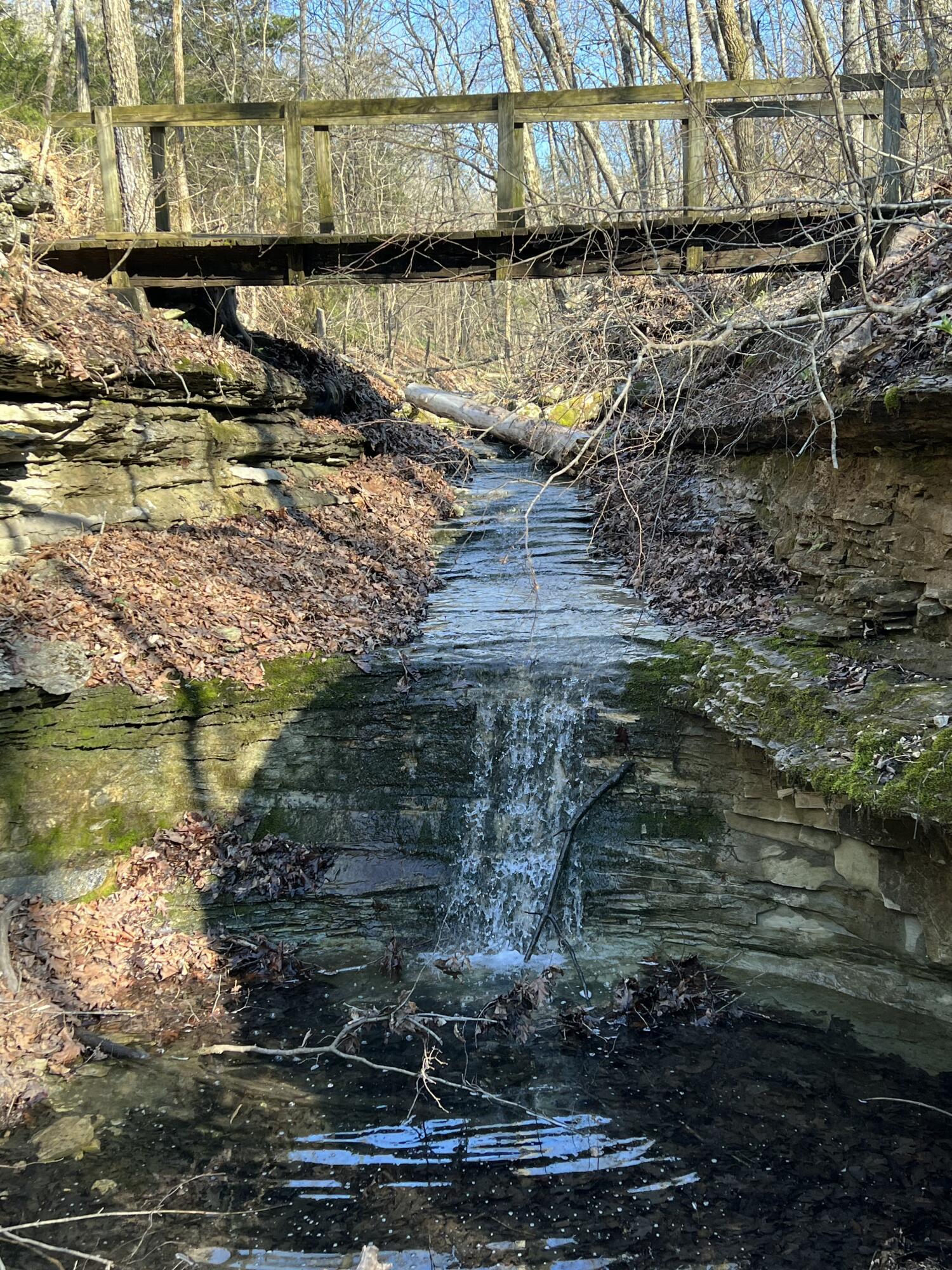 Photo 12 - Land for sale – Lot 9  Riverpointe View   Ozark, MO