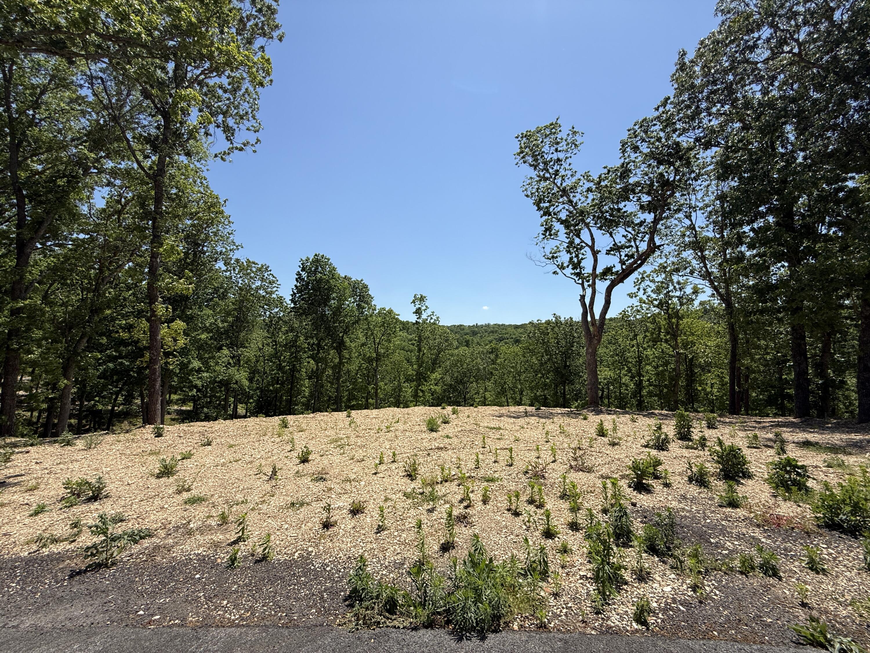 Photo 5 - Land for sale – Lot 9  Riverpointe View   Ozark, MO