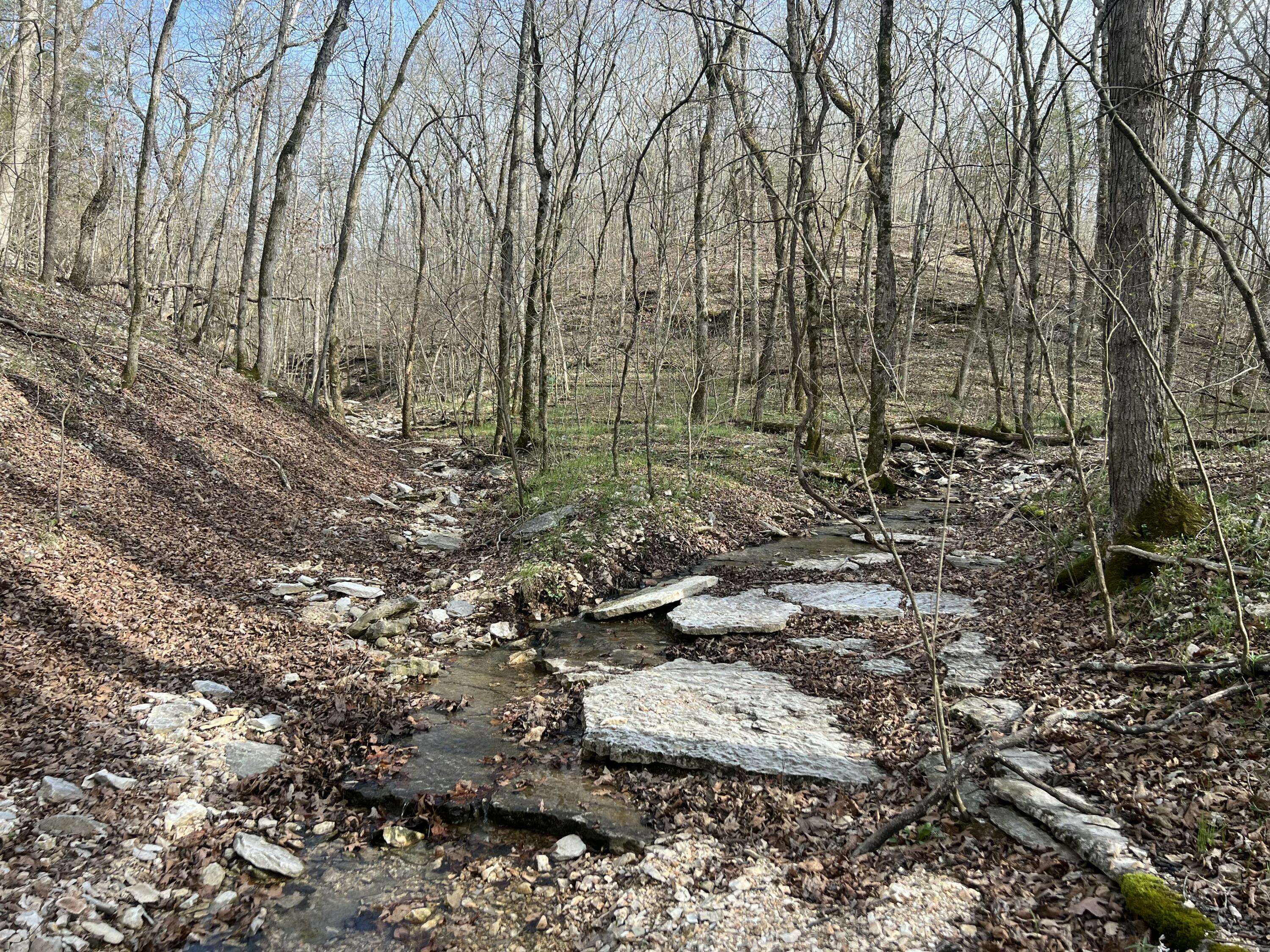 Photo 14 - Land for sale – Lot 9  Riverpointe View   Ozark, MO